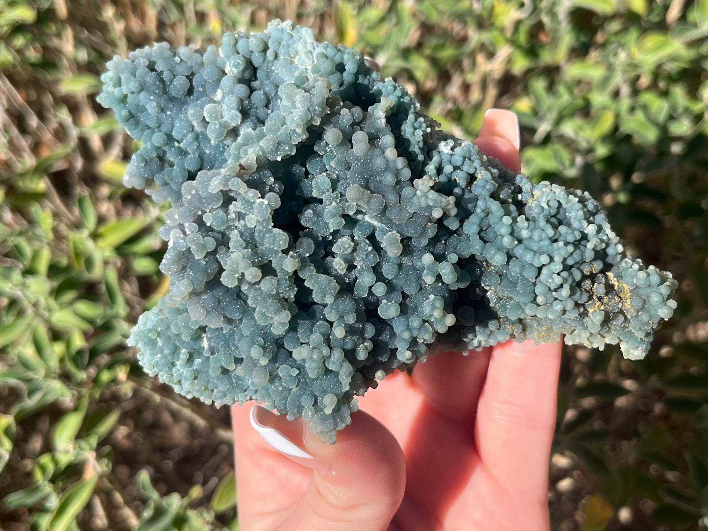 Grape Agate Specimens