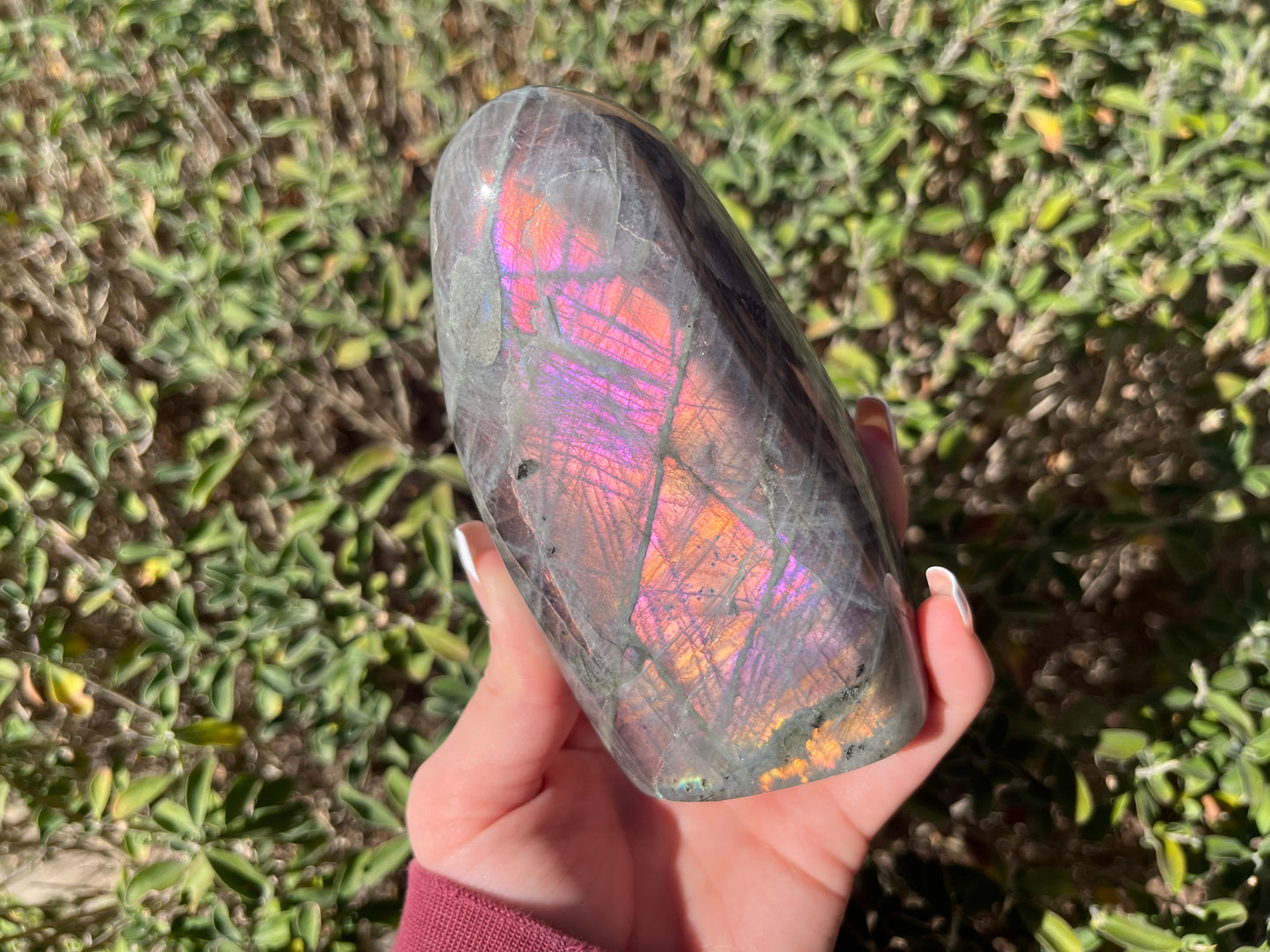 Labradorite Freeforms