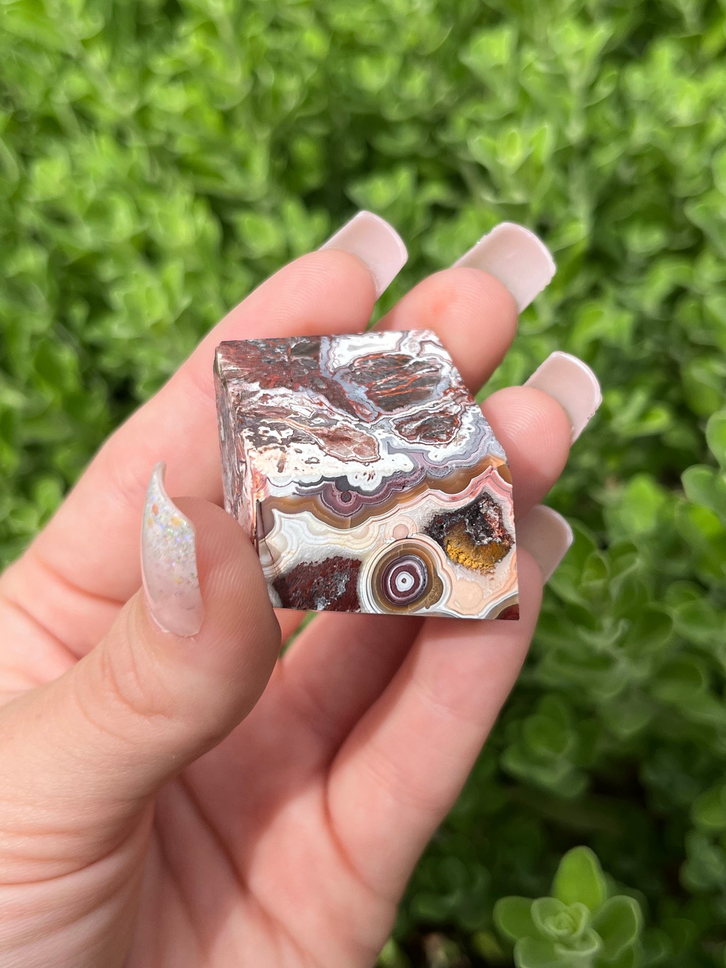 Mexican Crazy Lace Agate Freeforms