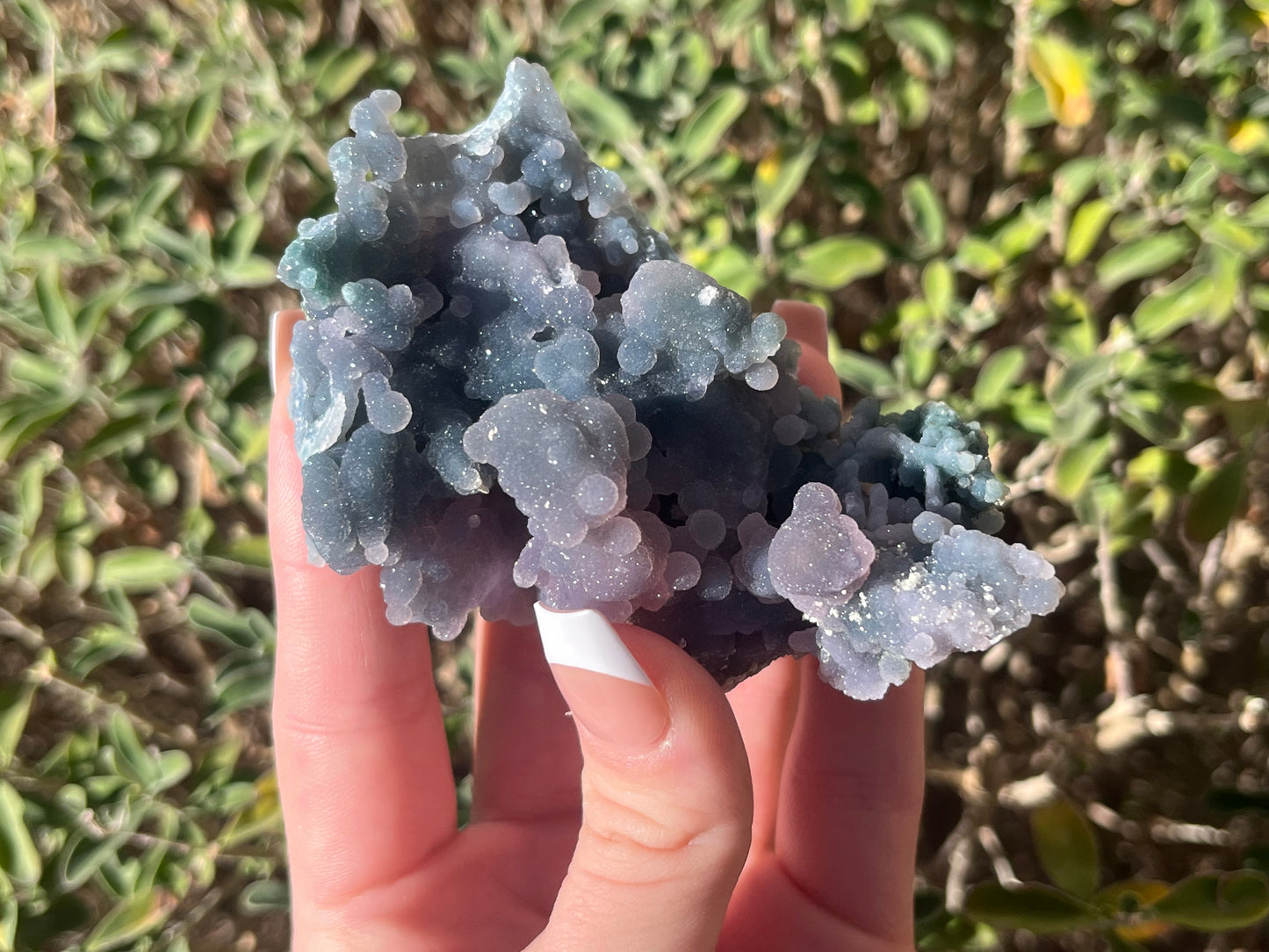 Grape Agate Specimens