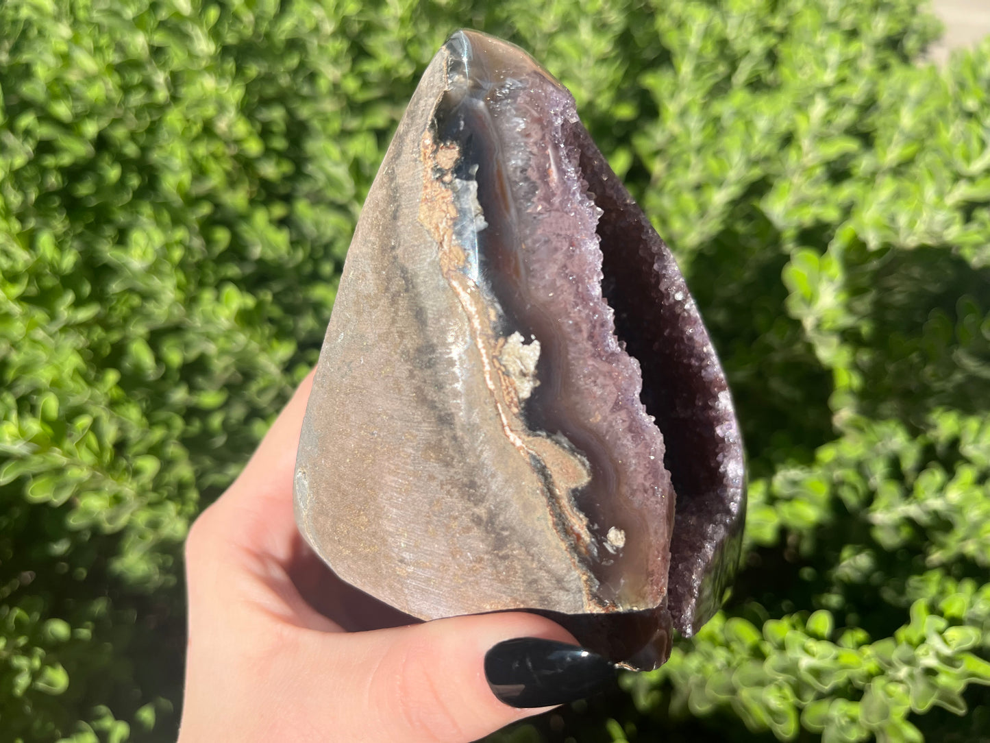 Amethyst Cut Bases from Brazil