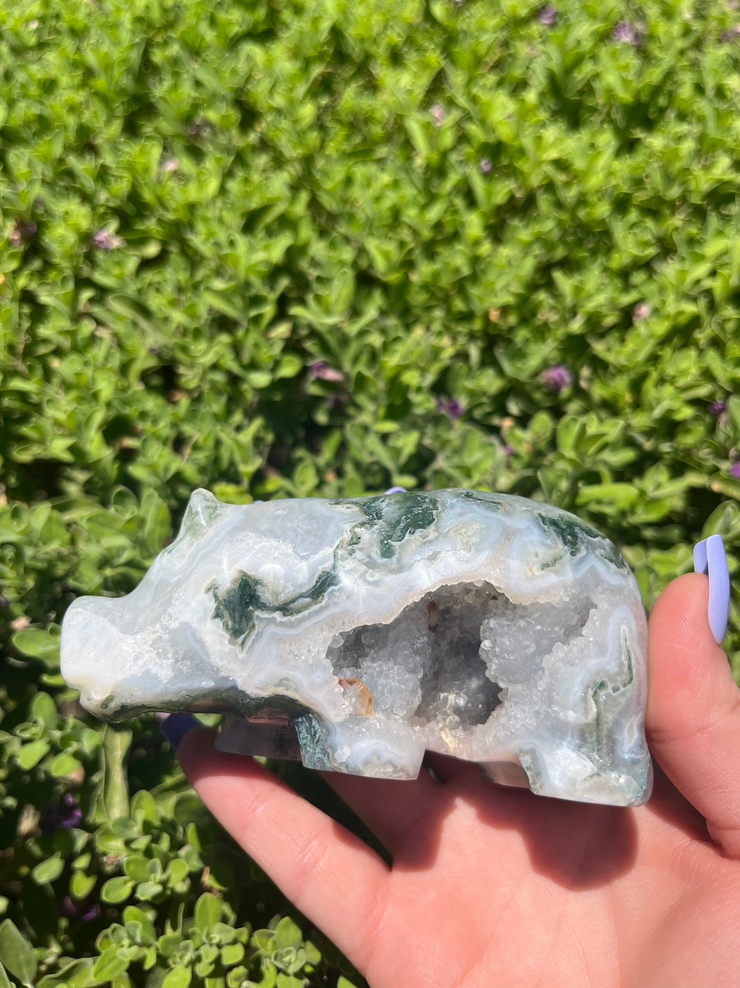 Moss Agate Druzy Hippo Carving