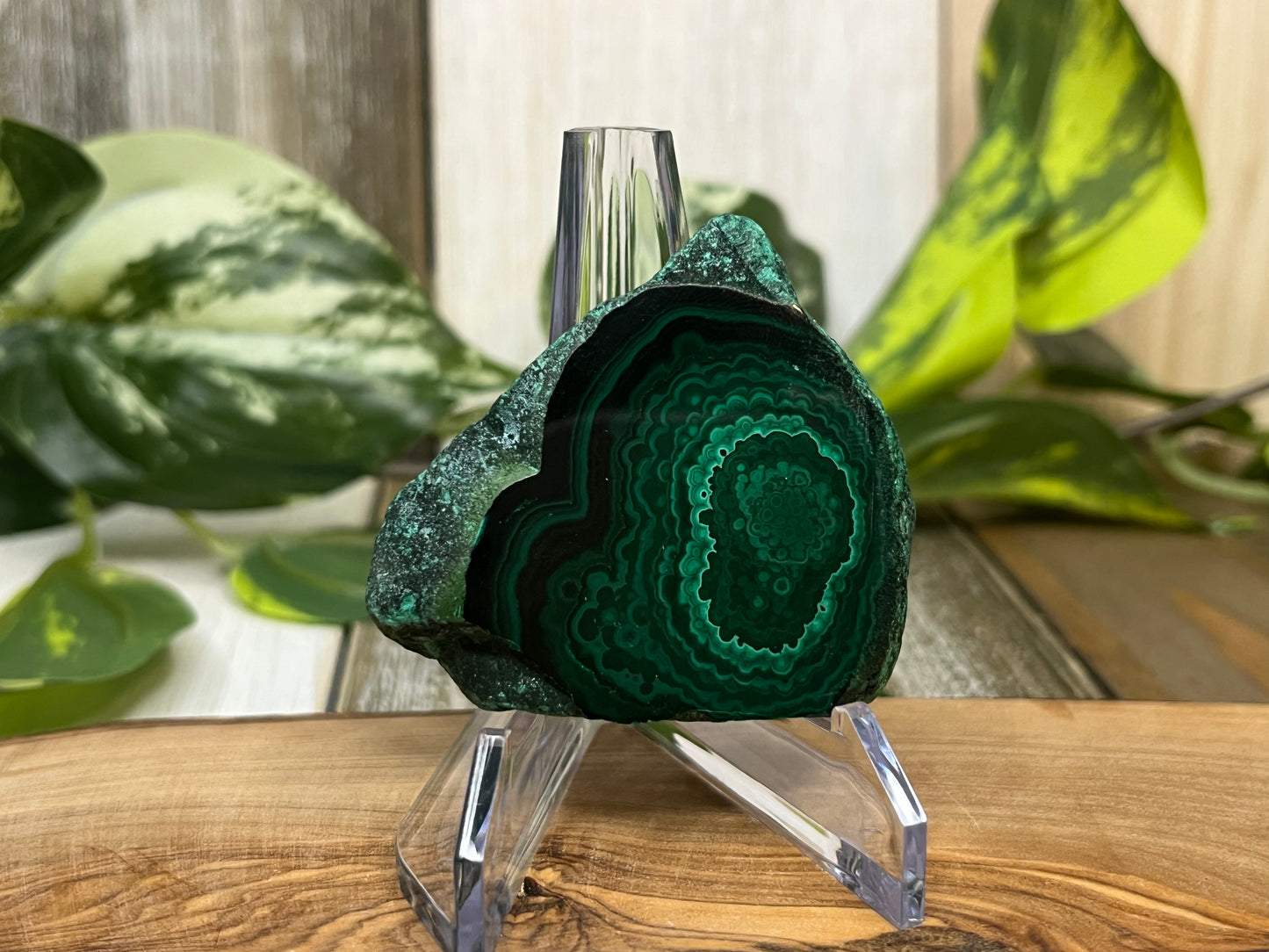 Malachite Slab Specimen
