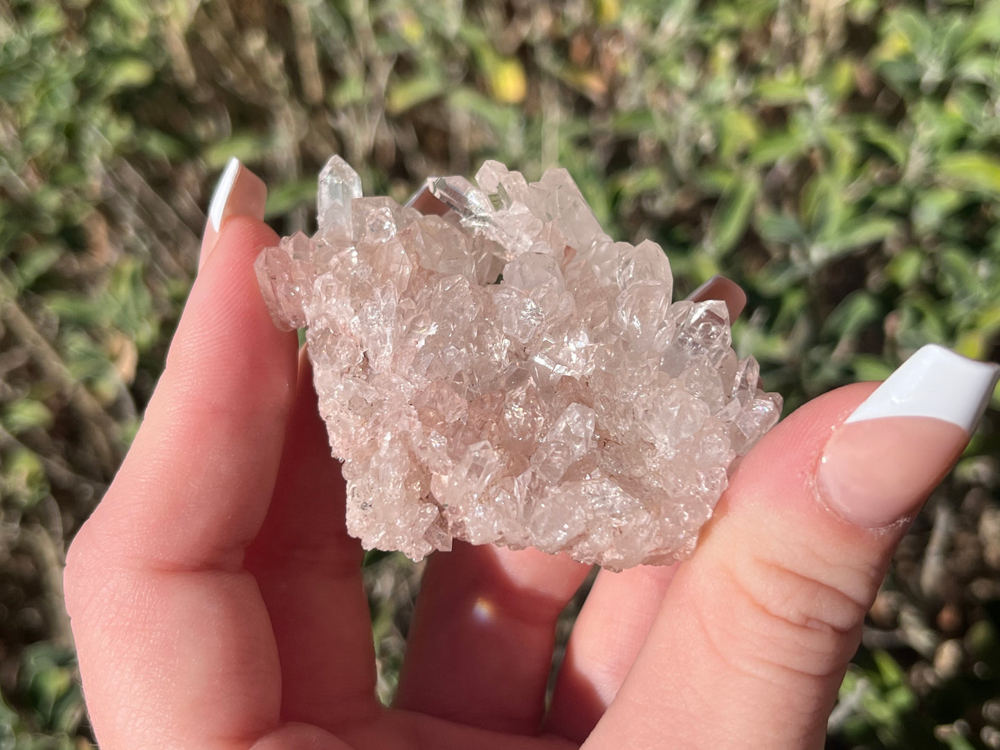 Sacred Pink Lemurian Quartz