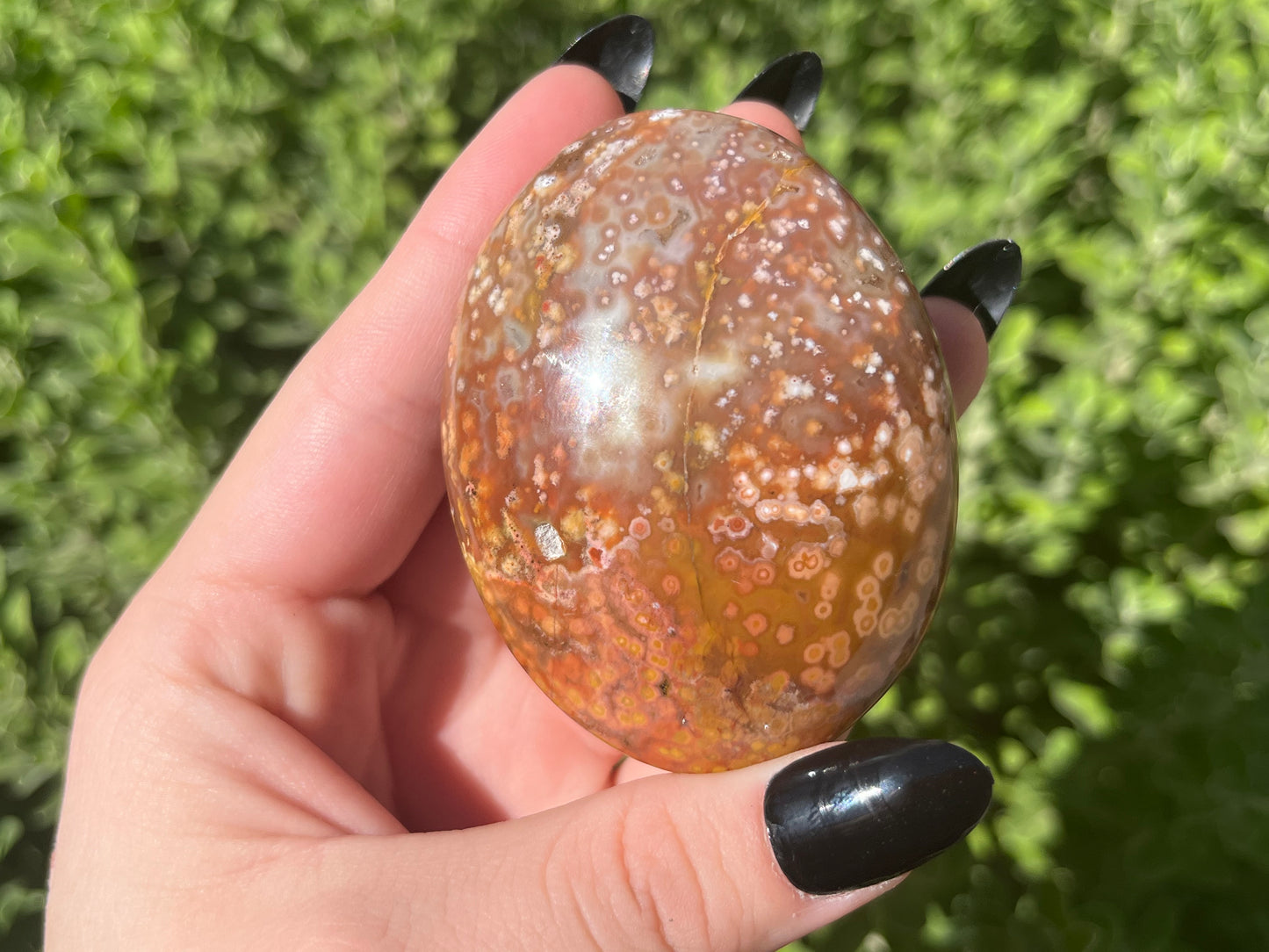 Orbicular Ocean Jasper Palm Stones