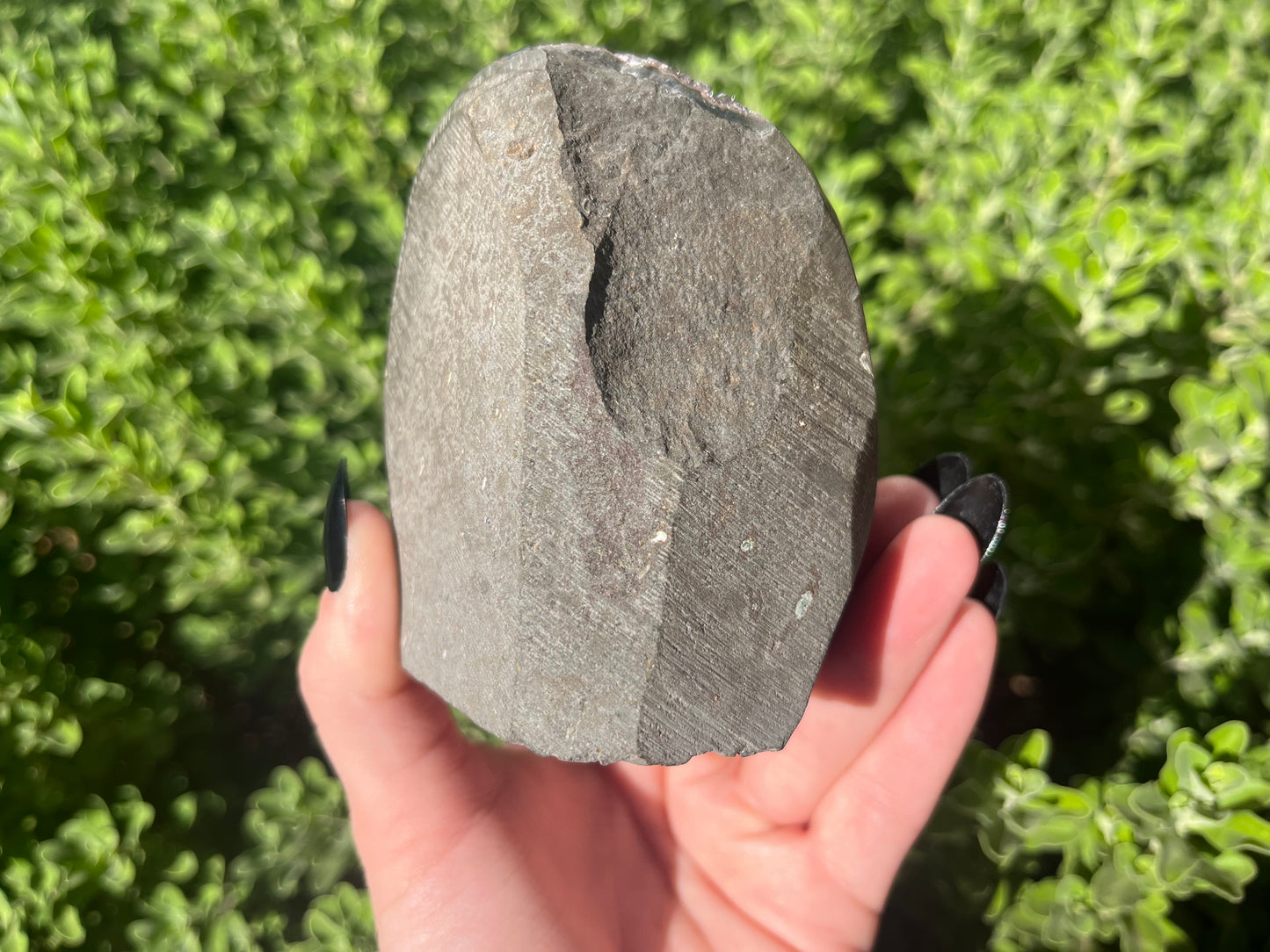 Amethyst Cut Bases from Brazil