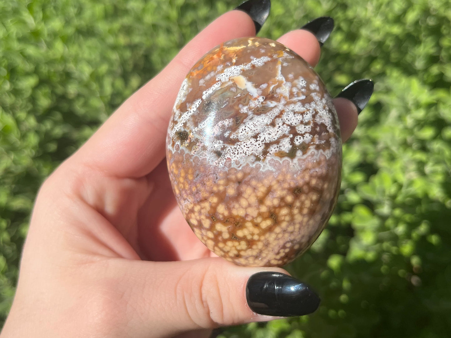 Orbicular Ocean Jasper Palm Stones