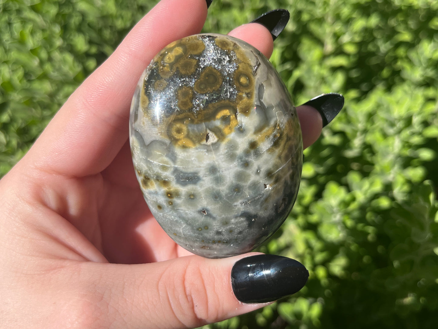 Orbicular Ocean Jasper Palm Stones