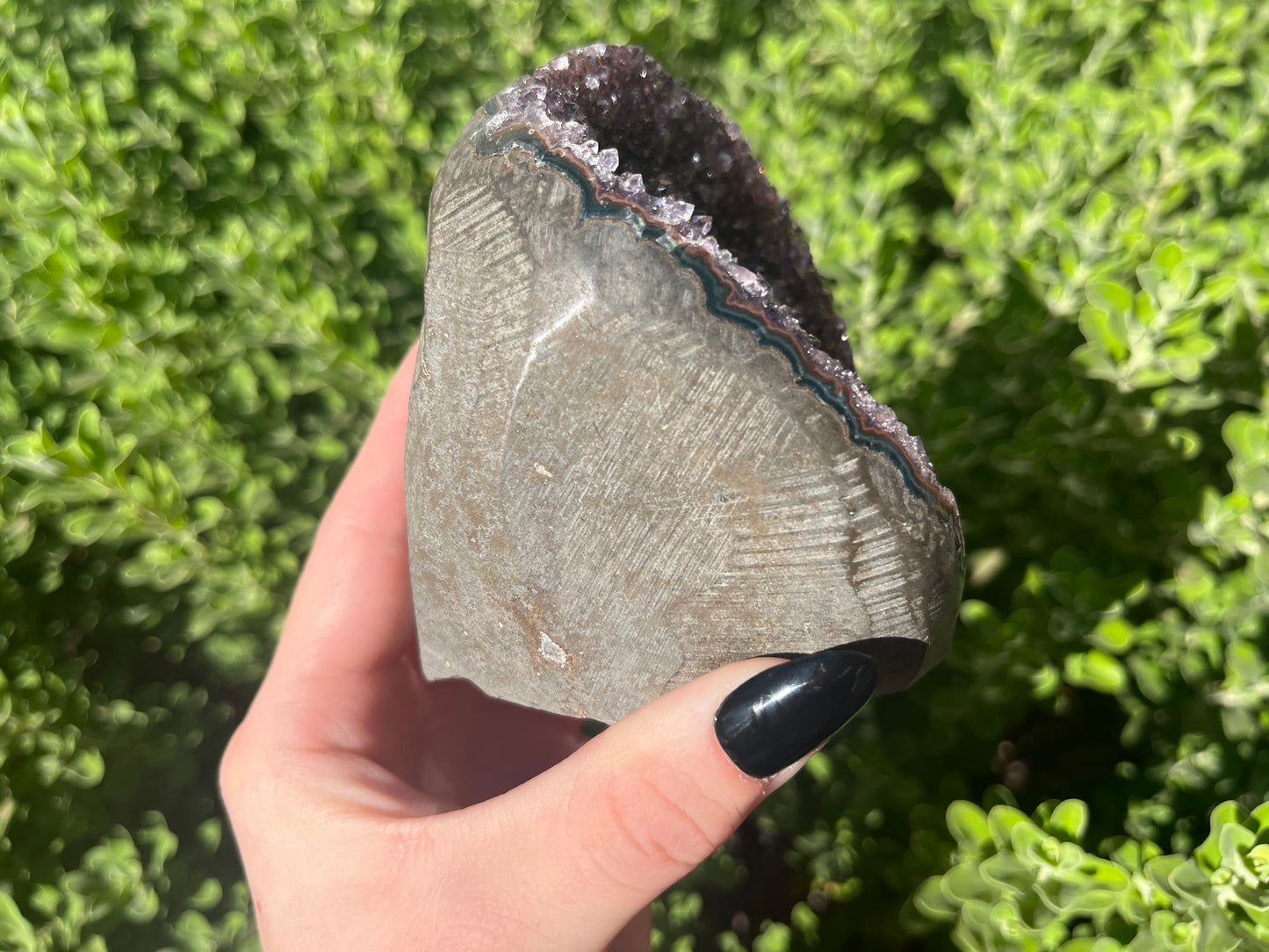 Amethyst Cut Bases from Brazil