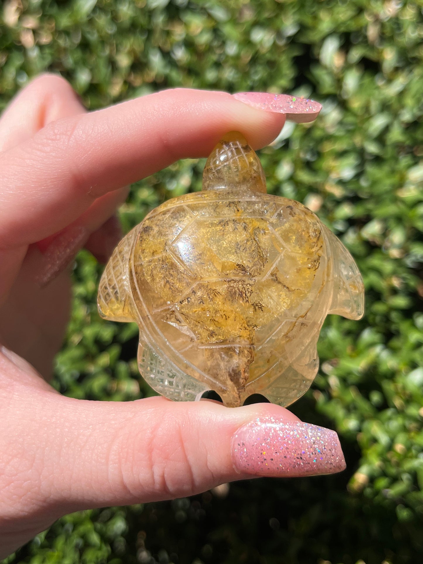 Dendritic Golden Healer Sea Turtle Carvings