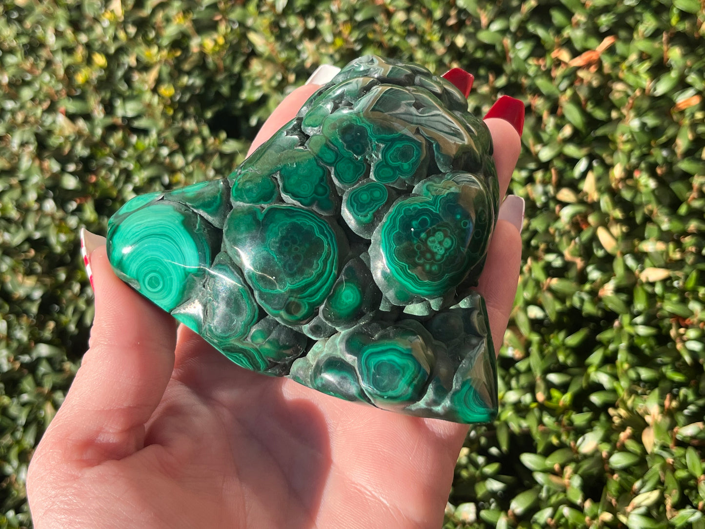 Malachite Freeforms