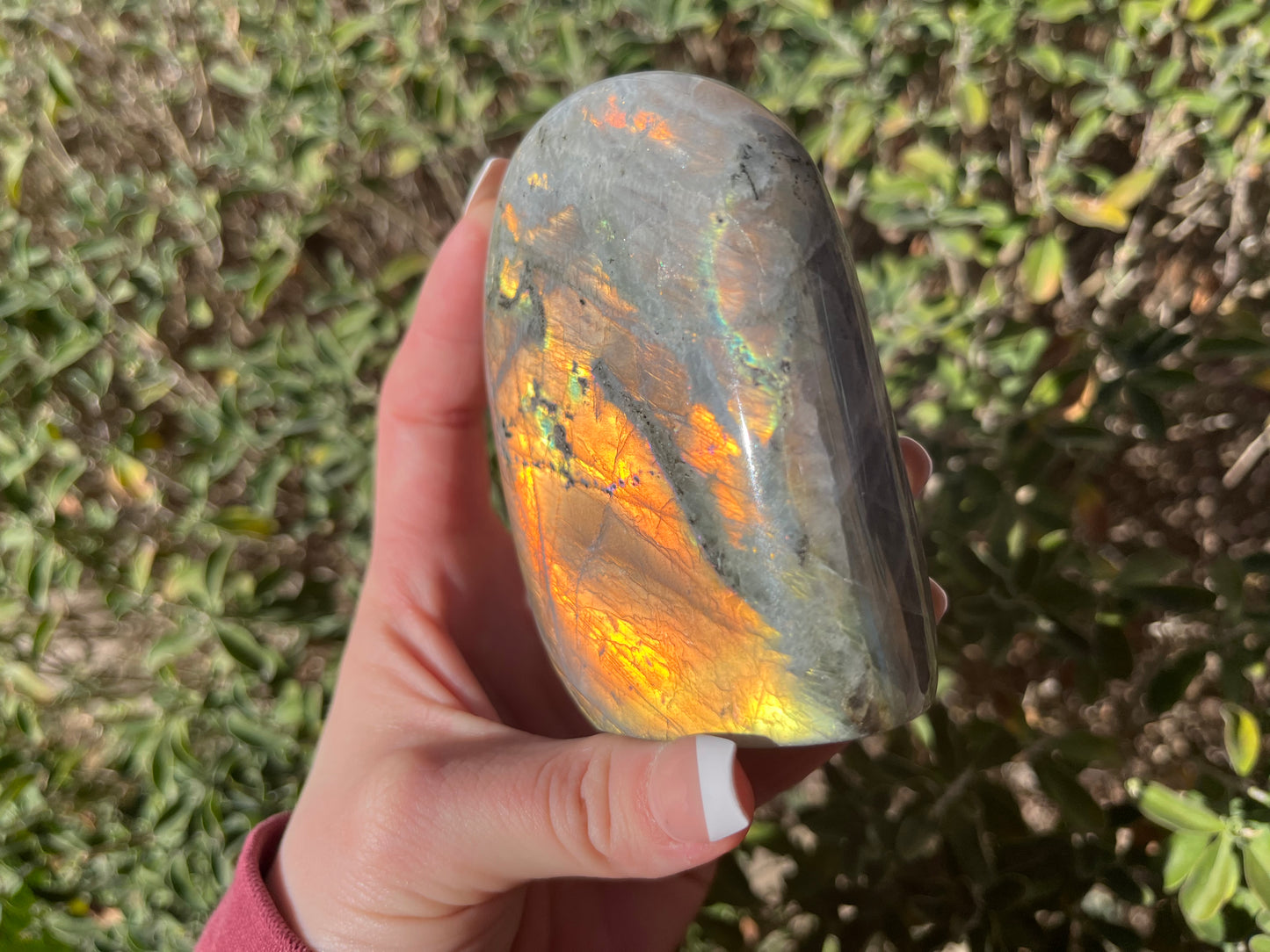 Labradorite Freeforms