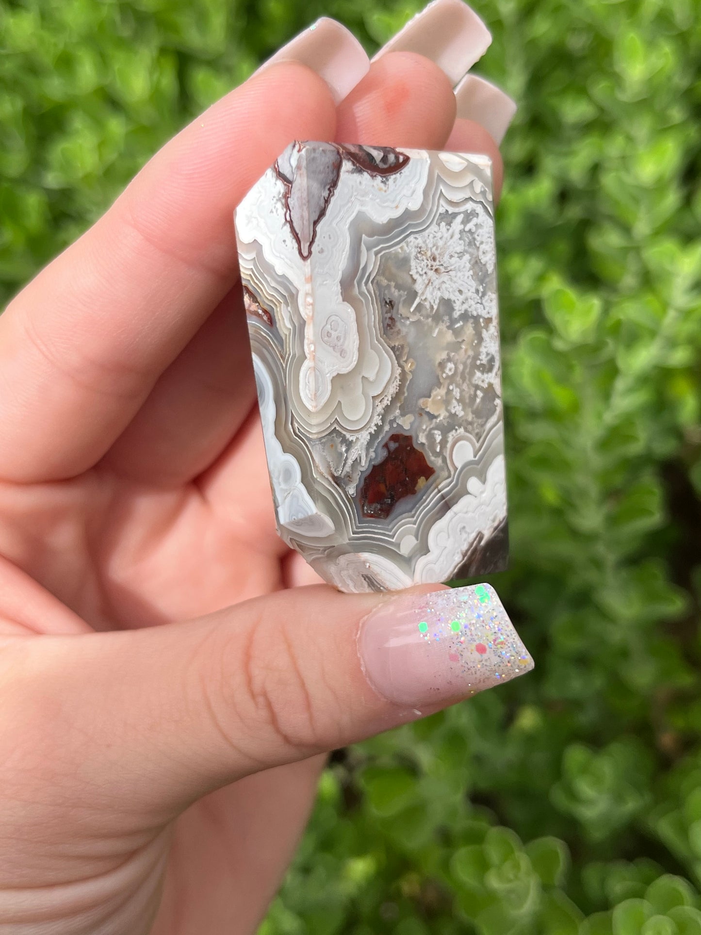 Mexican Crazy Lace Agate Freeforms