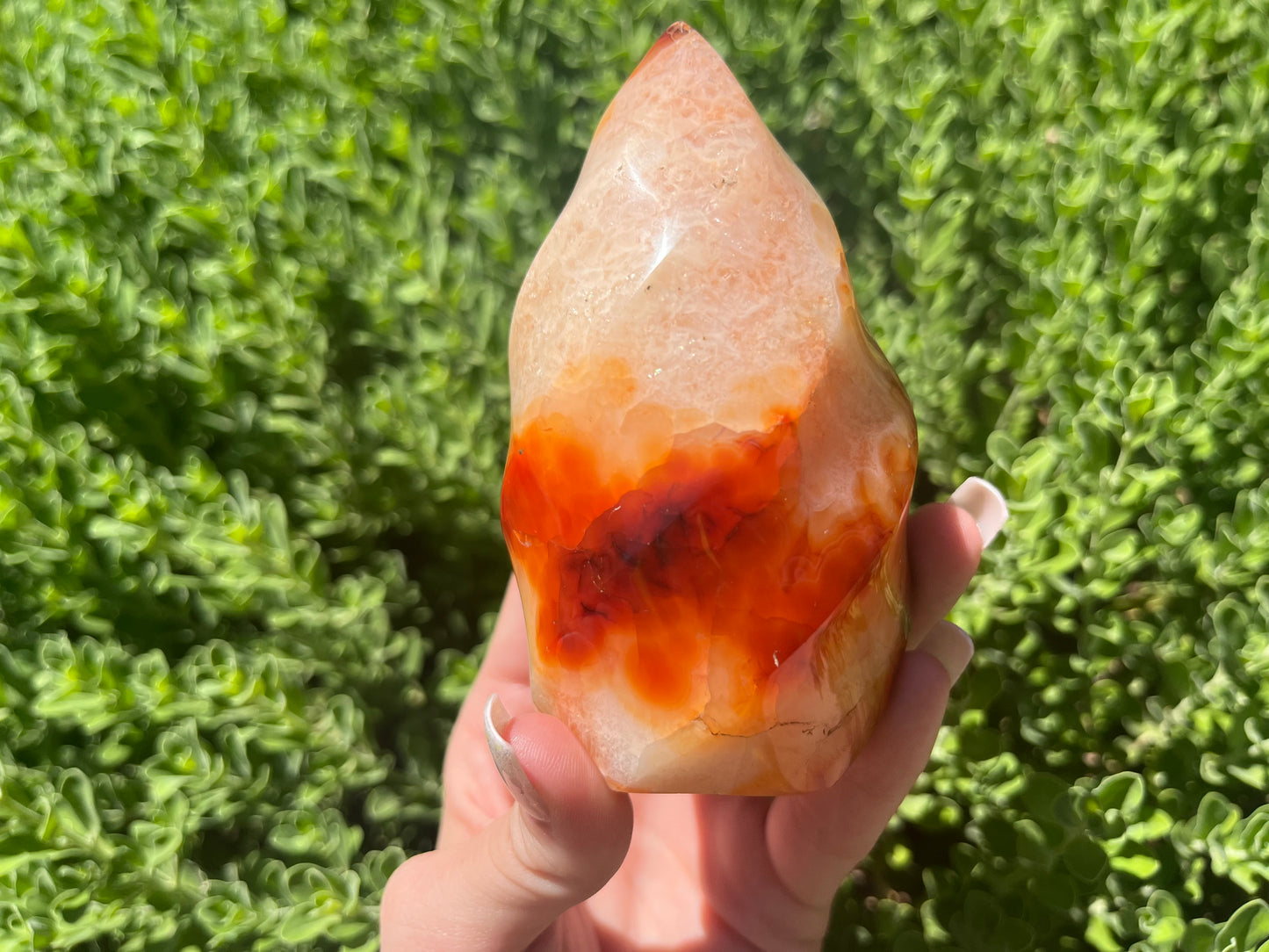 Carnelian Flame