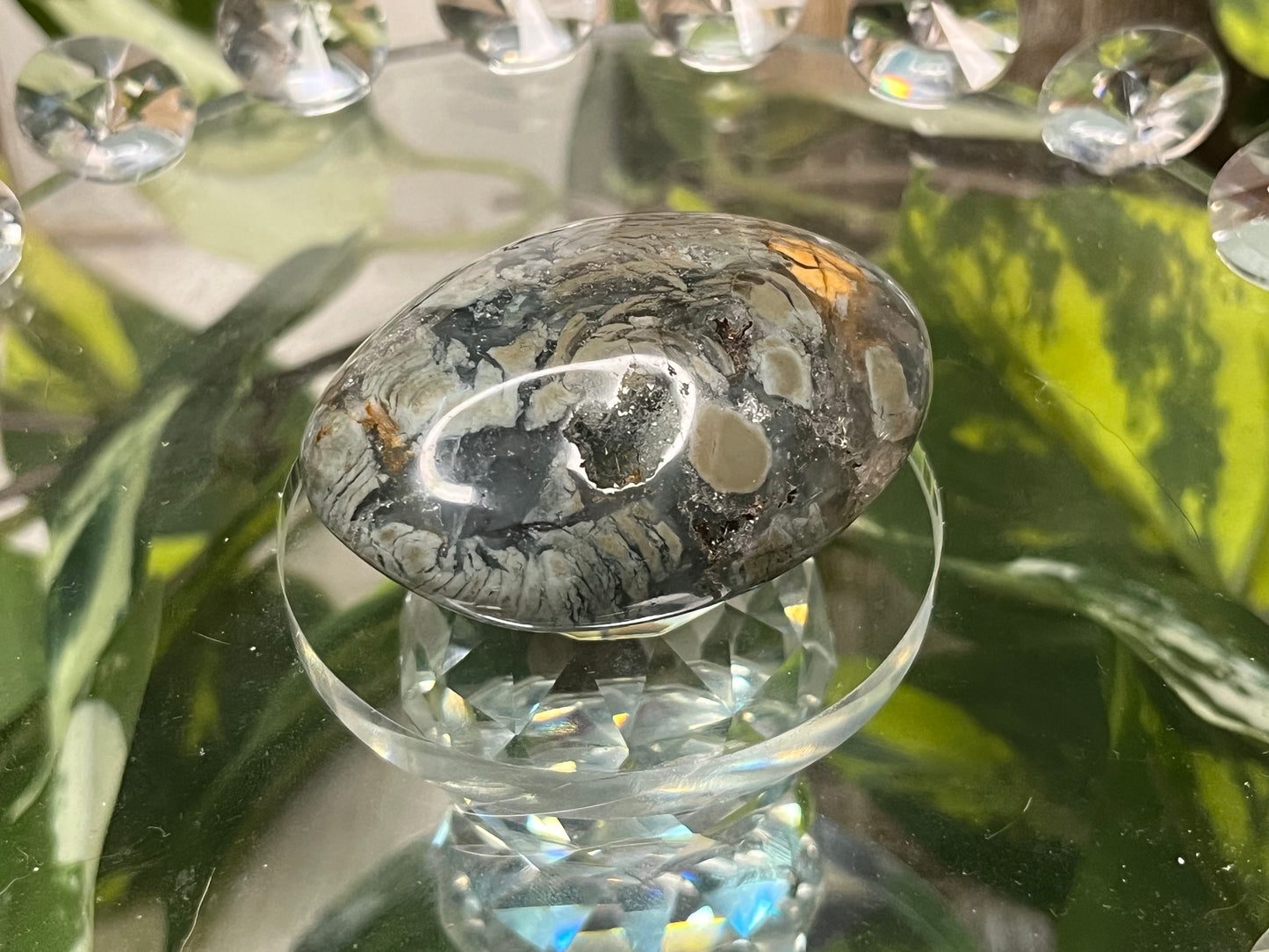 Ibis Jasper Palm Stone