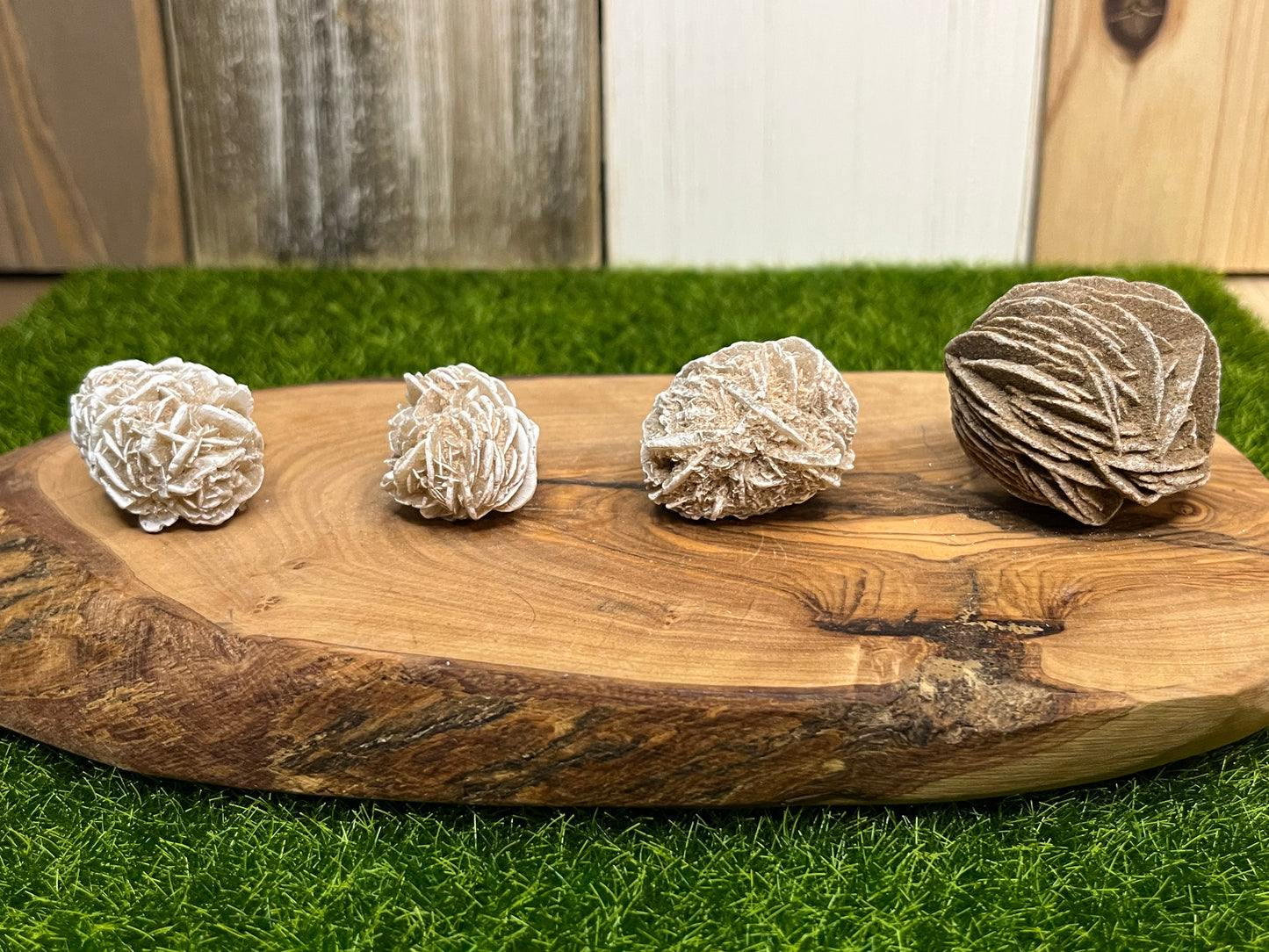 Desert Rose Specimens