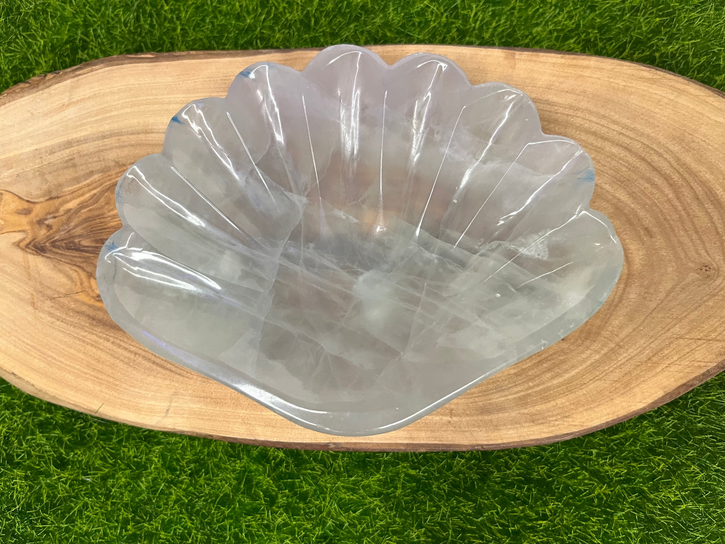 Fluorite Seashell Bowl
