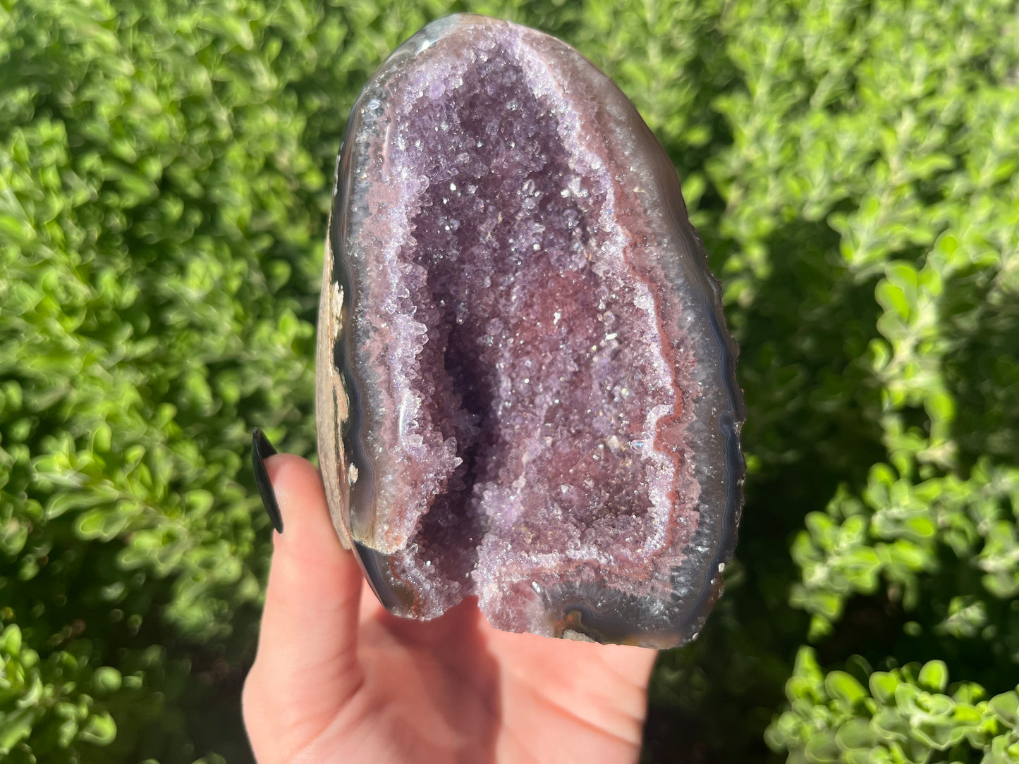 Amethyst Cut Bases from Brazil