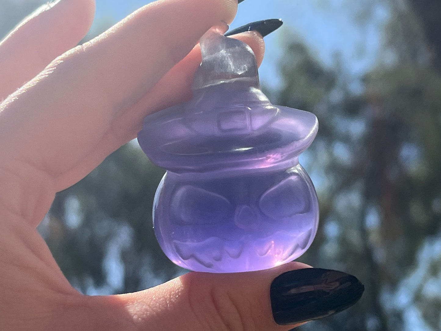 Pumpkin Heads w/ Hats