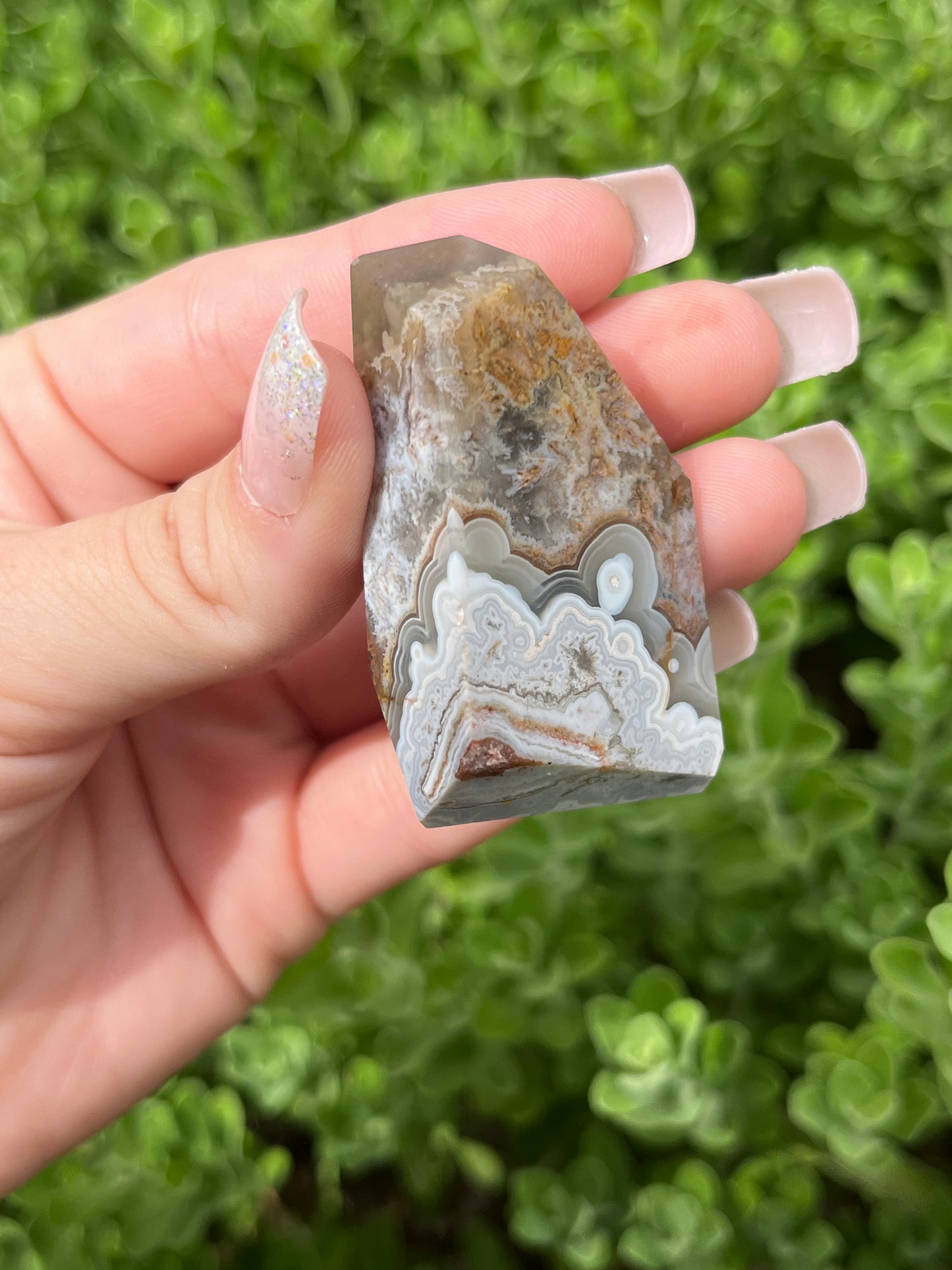 Mexican Crazy Lace Agate Freeforms