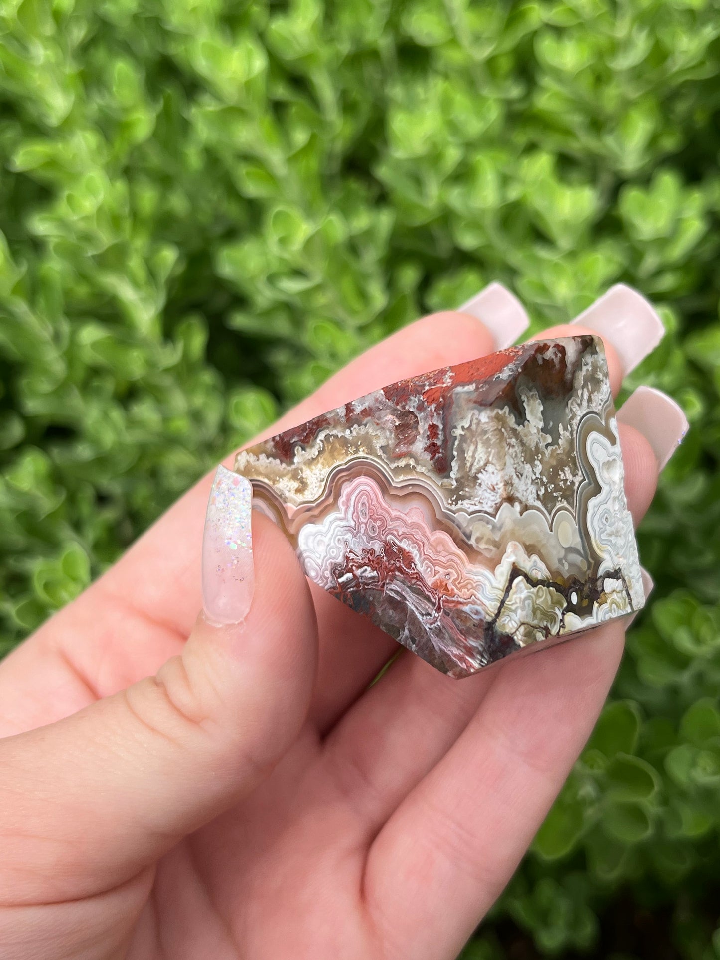 Mexican Crazy Lace Agate Freeforms