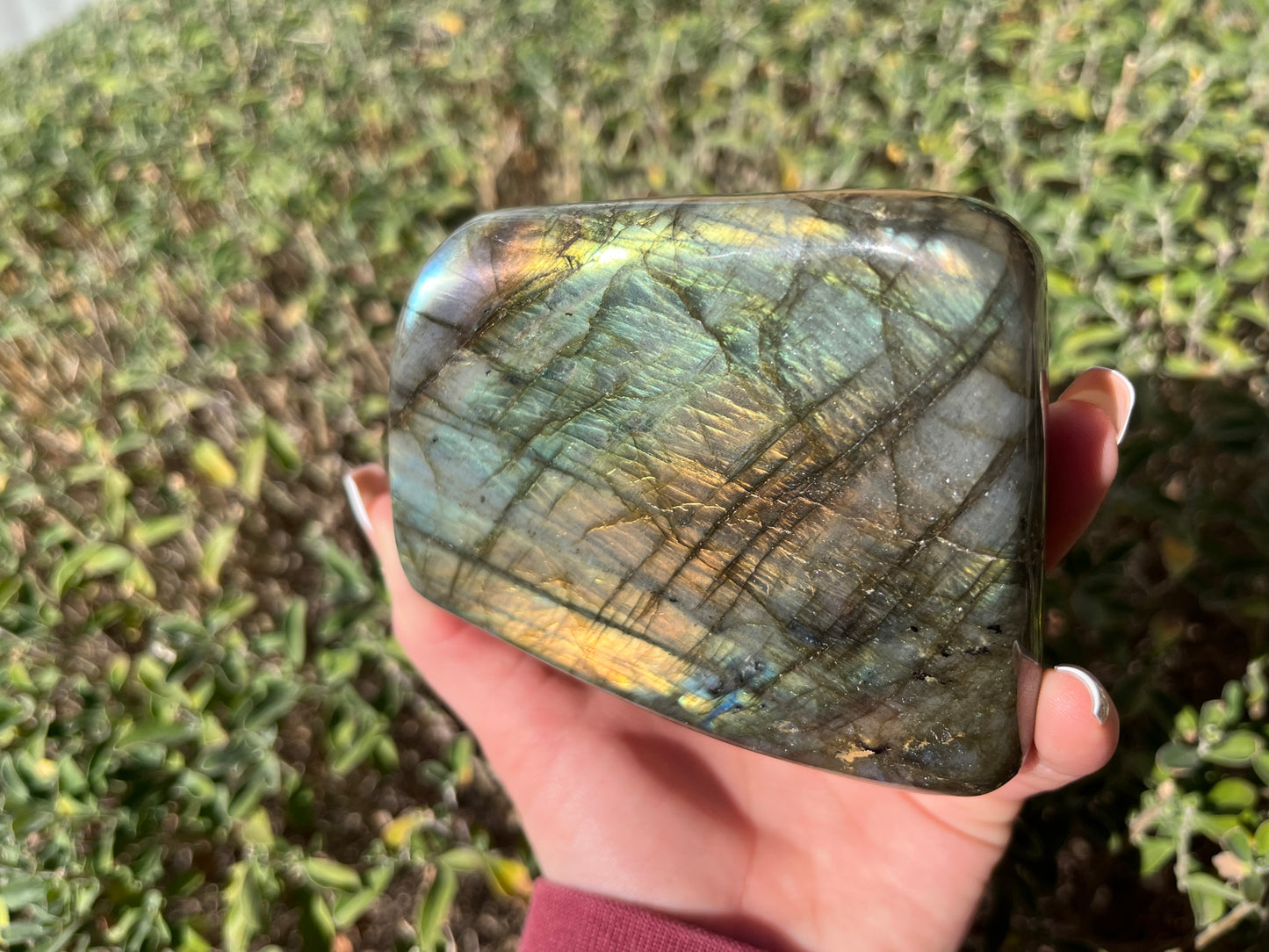 Labradorite Freeforms