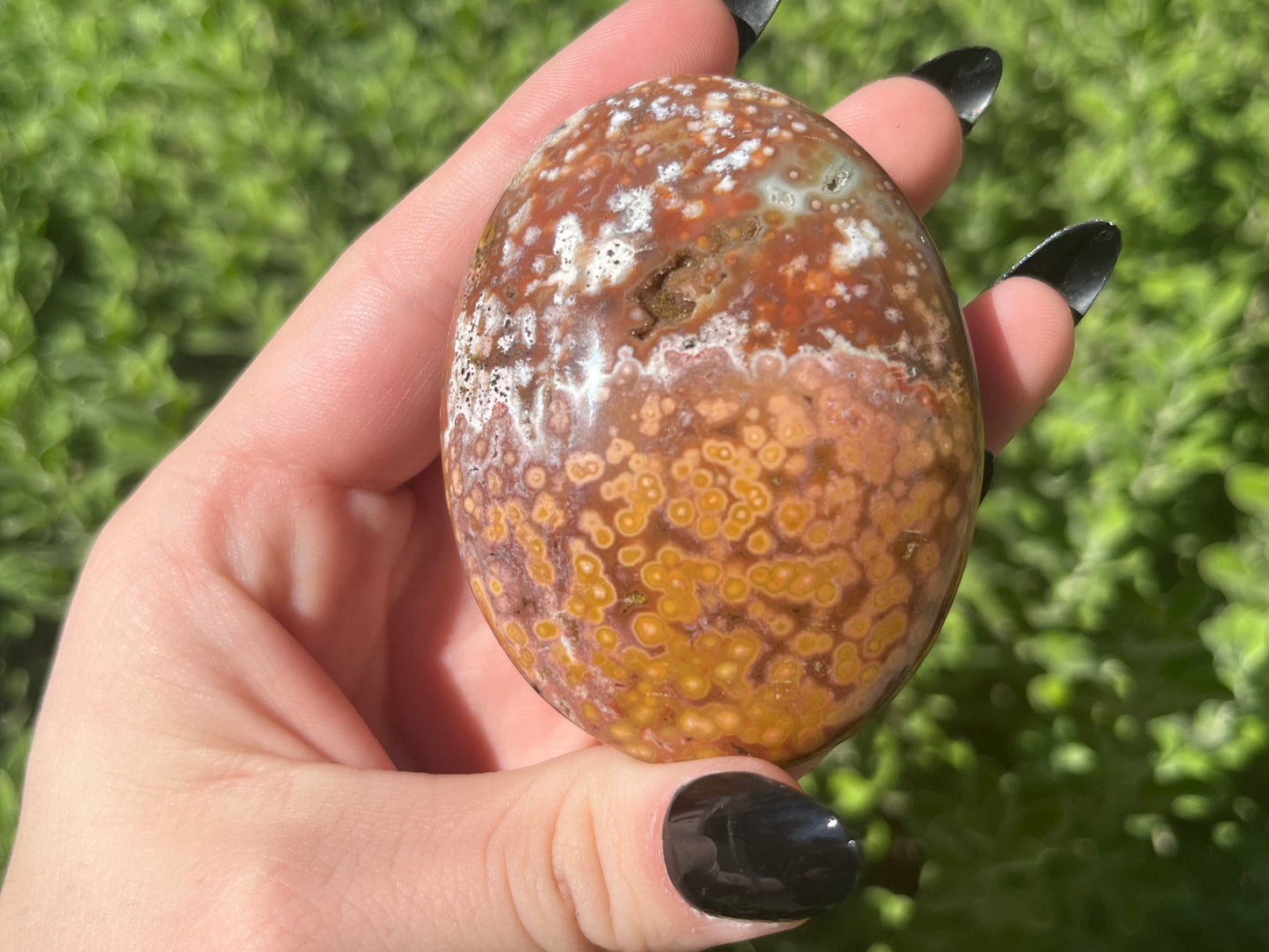 Orbicular Ocean Jasper Palm Stones