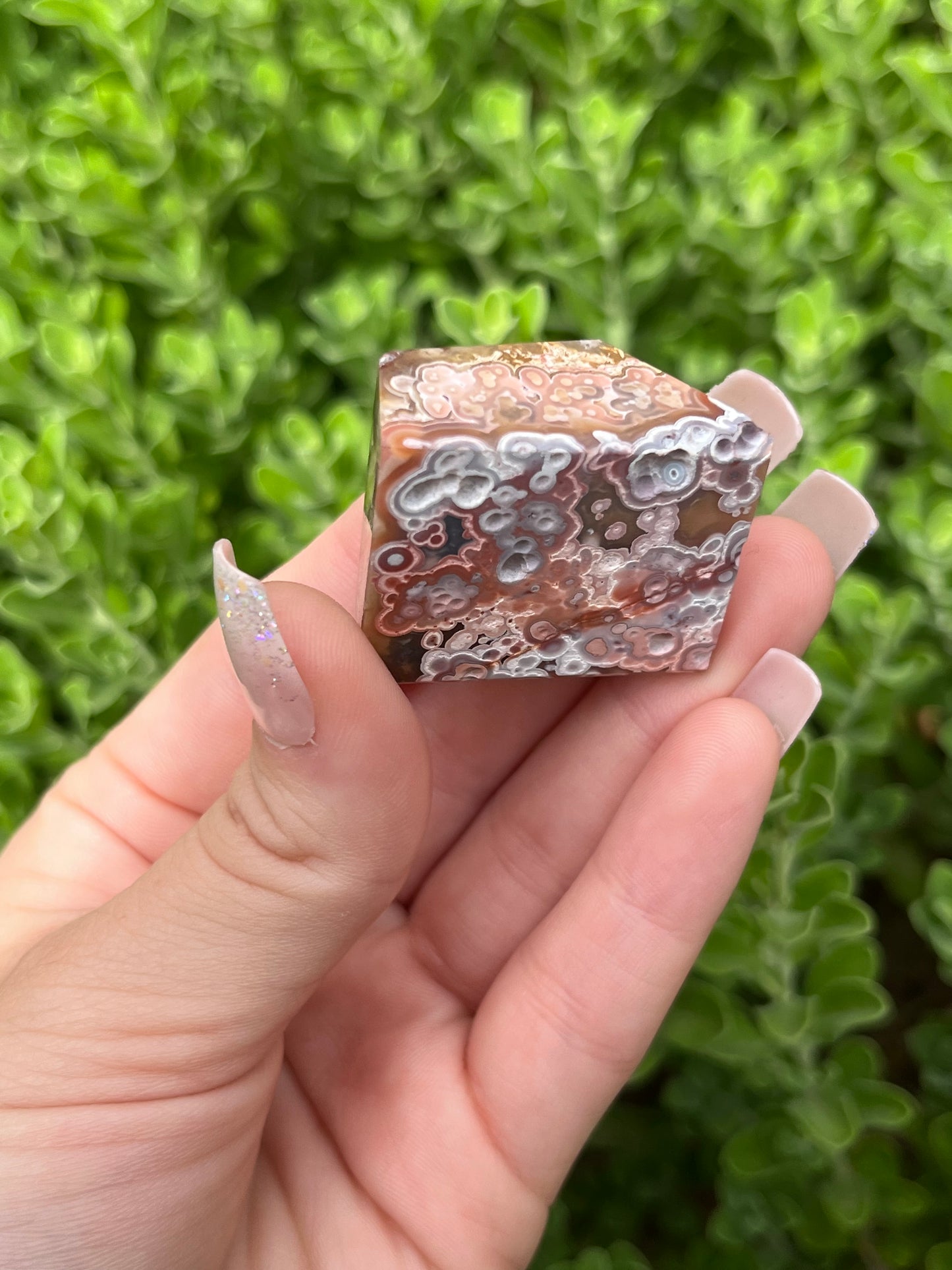 Mexican Crazy Lace Agate Freeforms