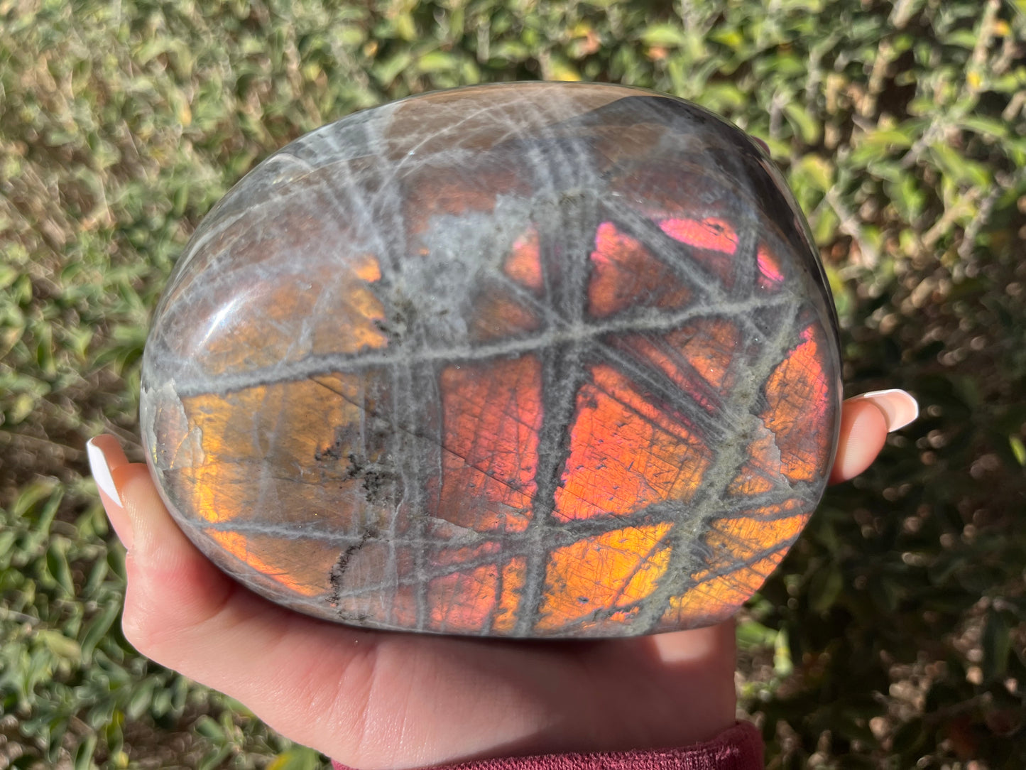 Labradorite Freeforms