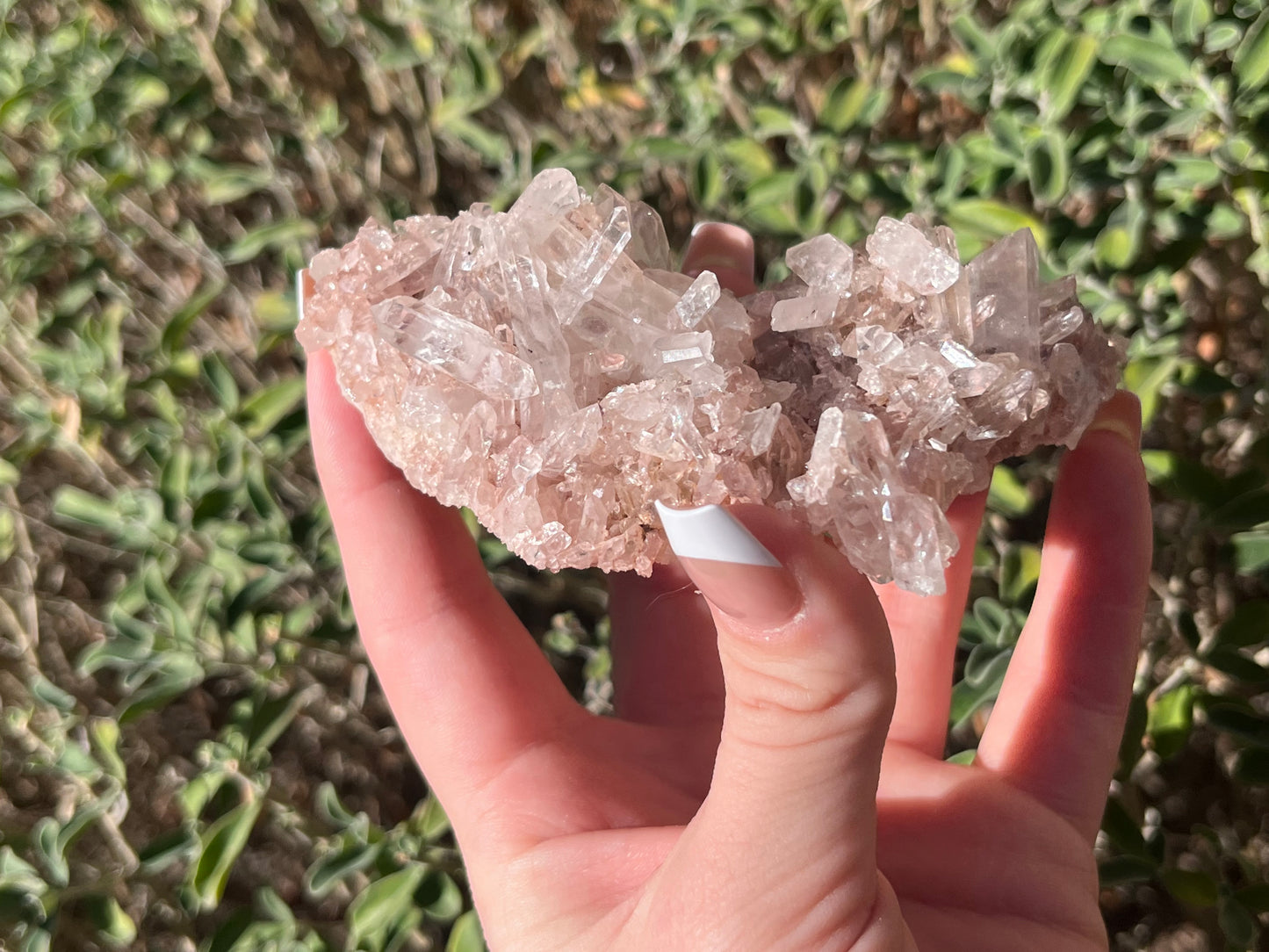 Sacred Pink Lemurian Quartz