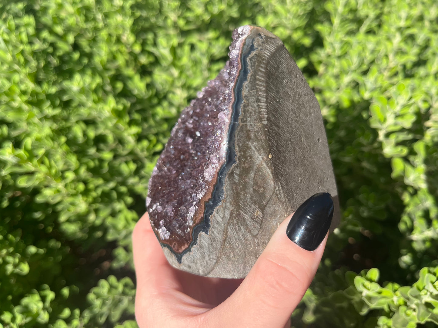 Amethyst Cut Bases from Brazil
