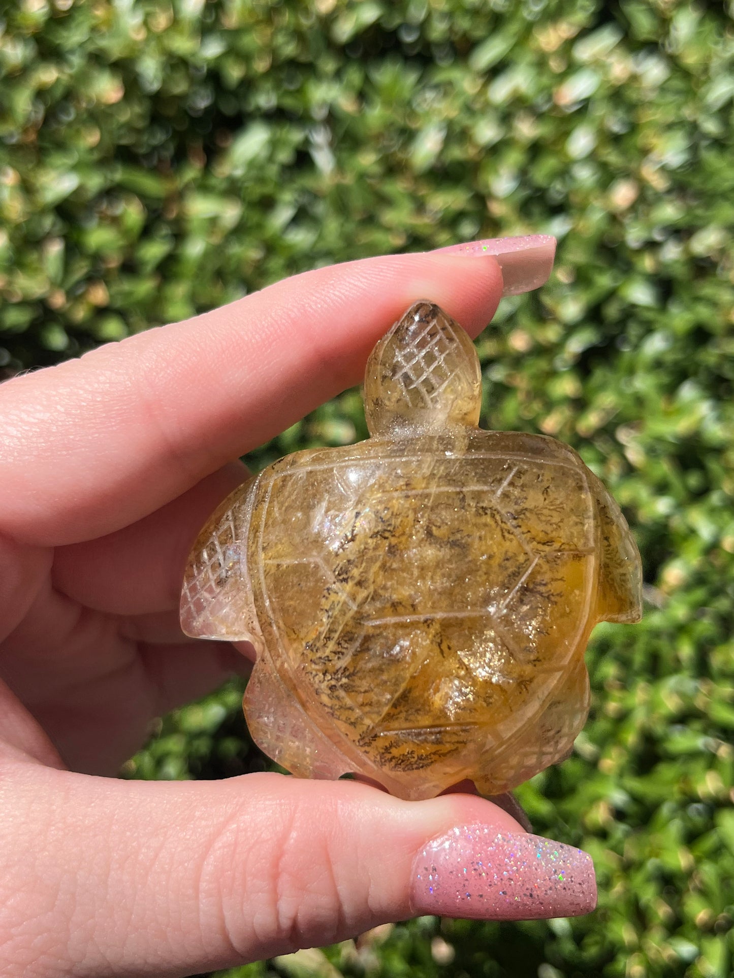 Dendritic Golden Healer Sea Turtle Carvings