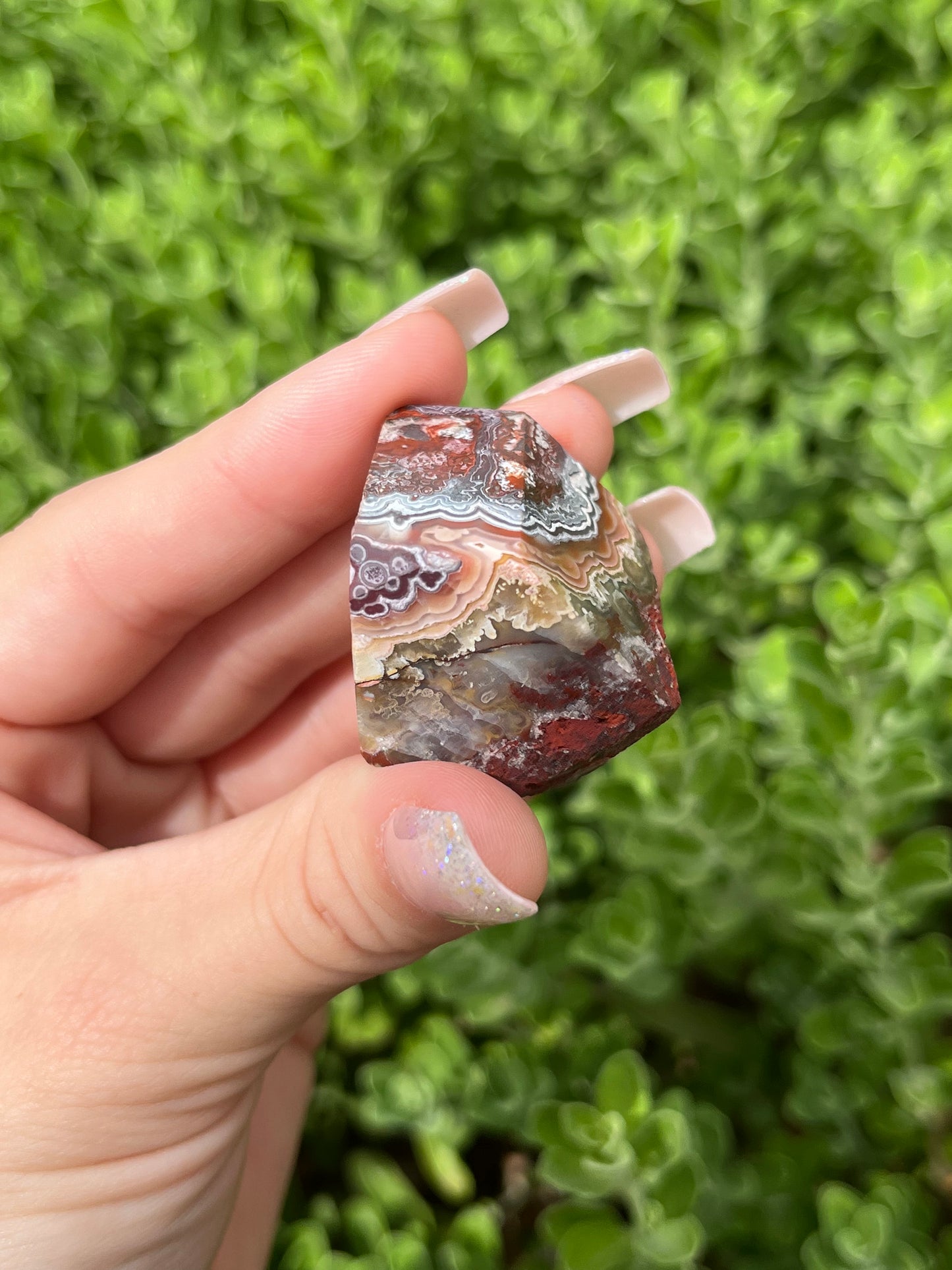 Mexican Crazy Lace Agate Freeforms