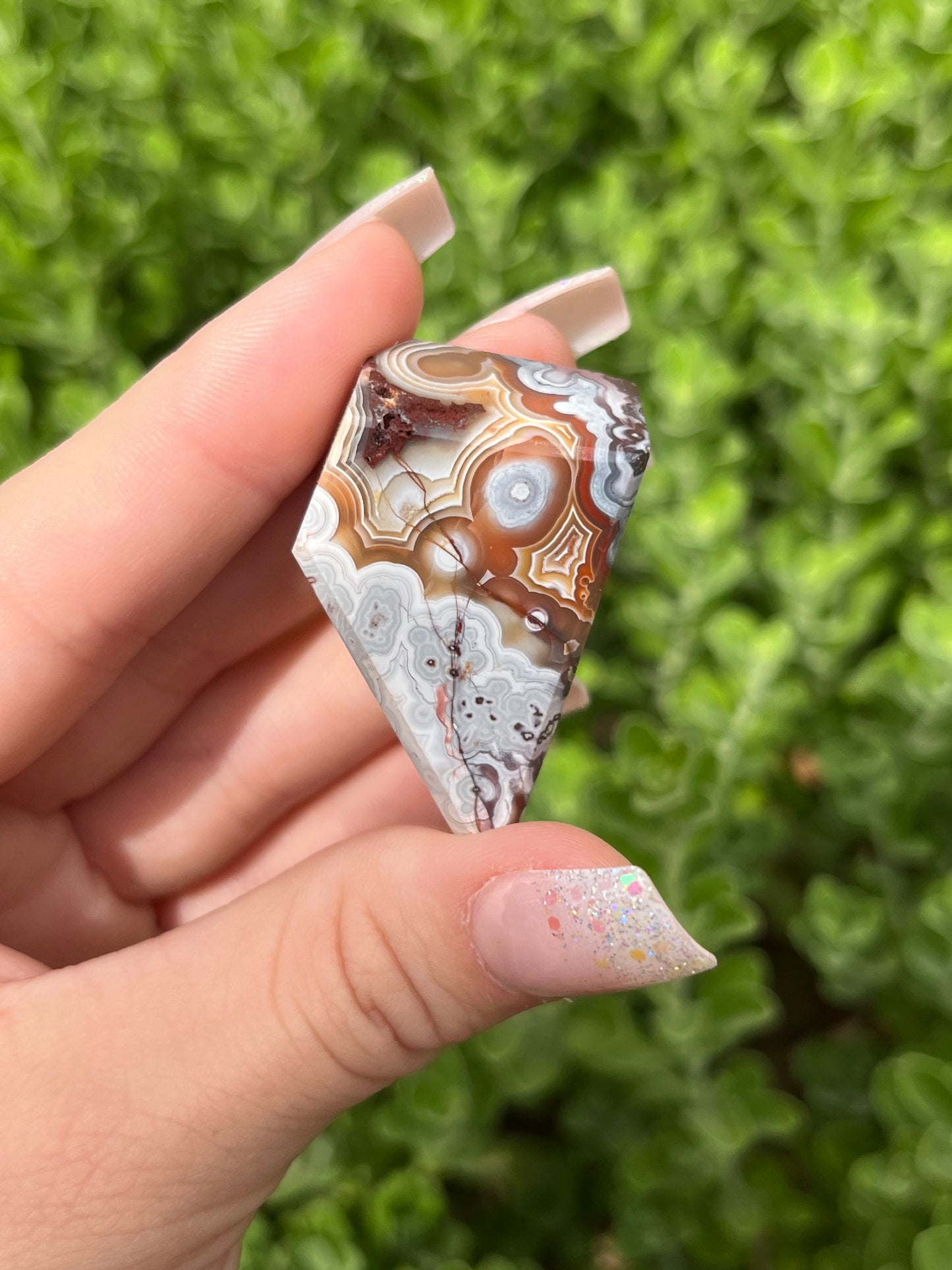 Mexican Crazy Lace Agate Freeforms