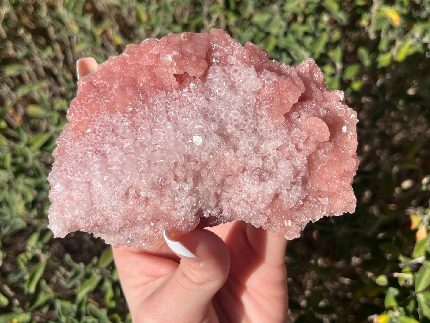 California Pink Halite