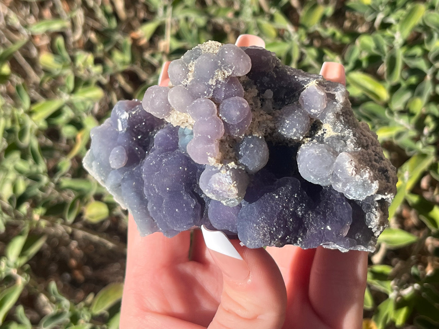 Grape Agate Specimens