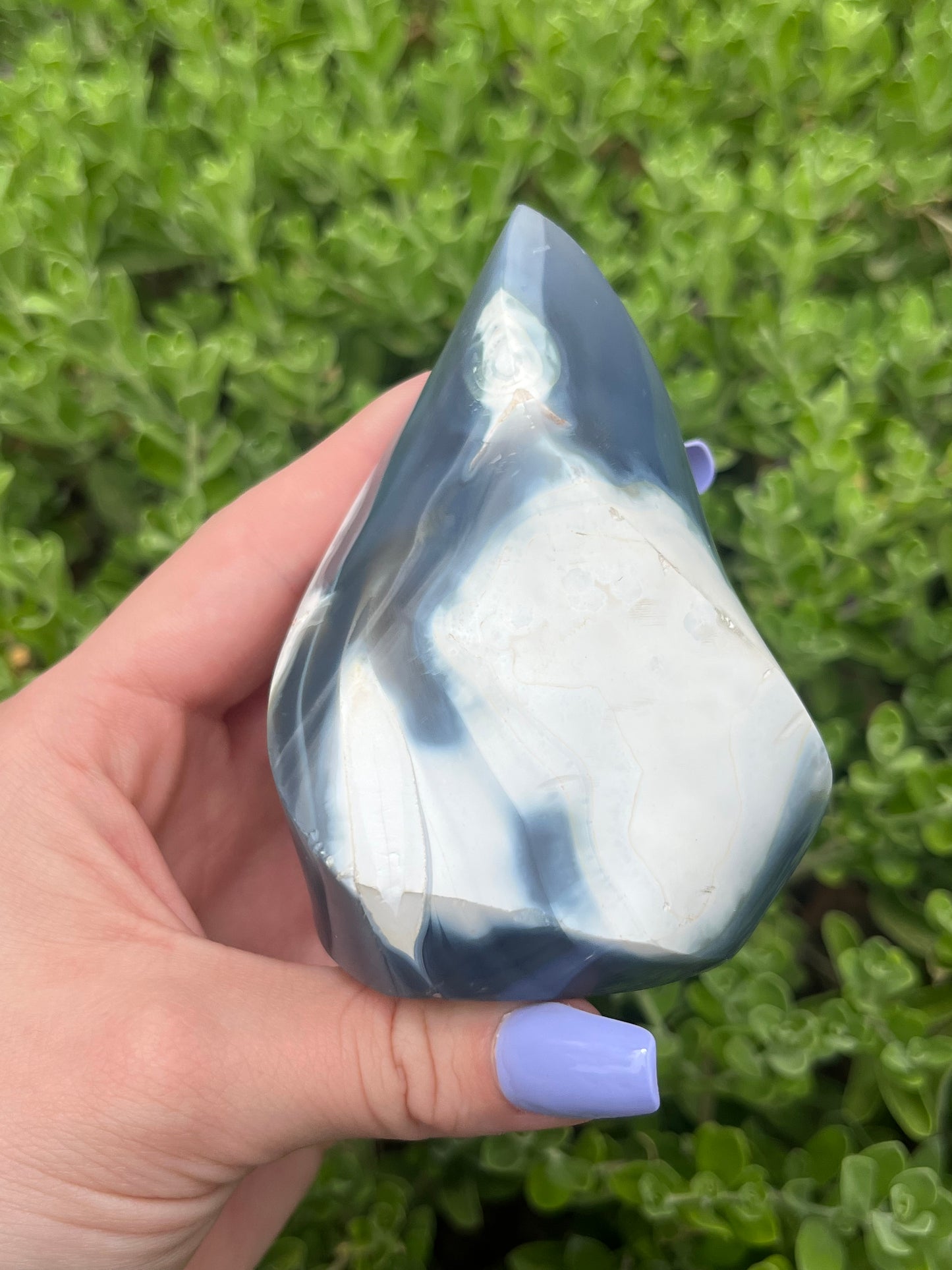Orca Agate Flame Carvings