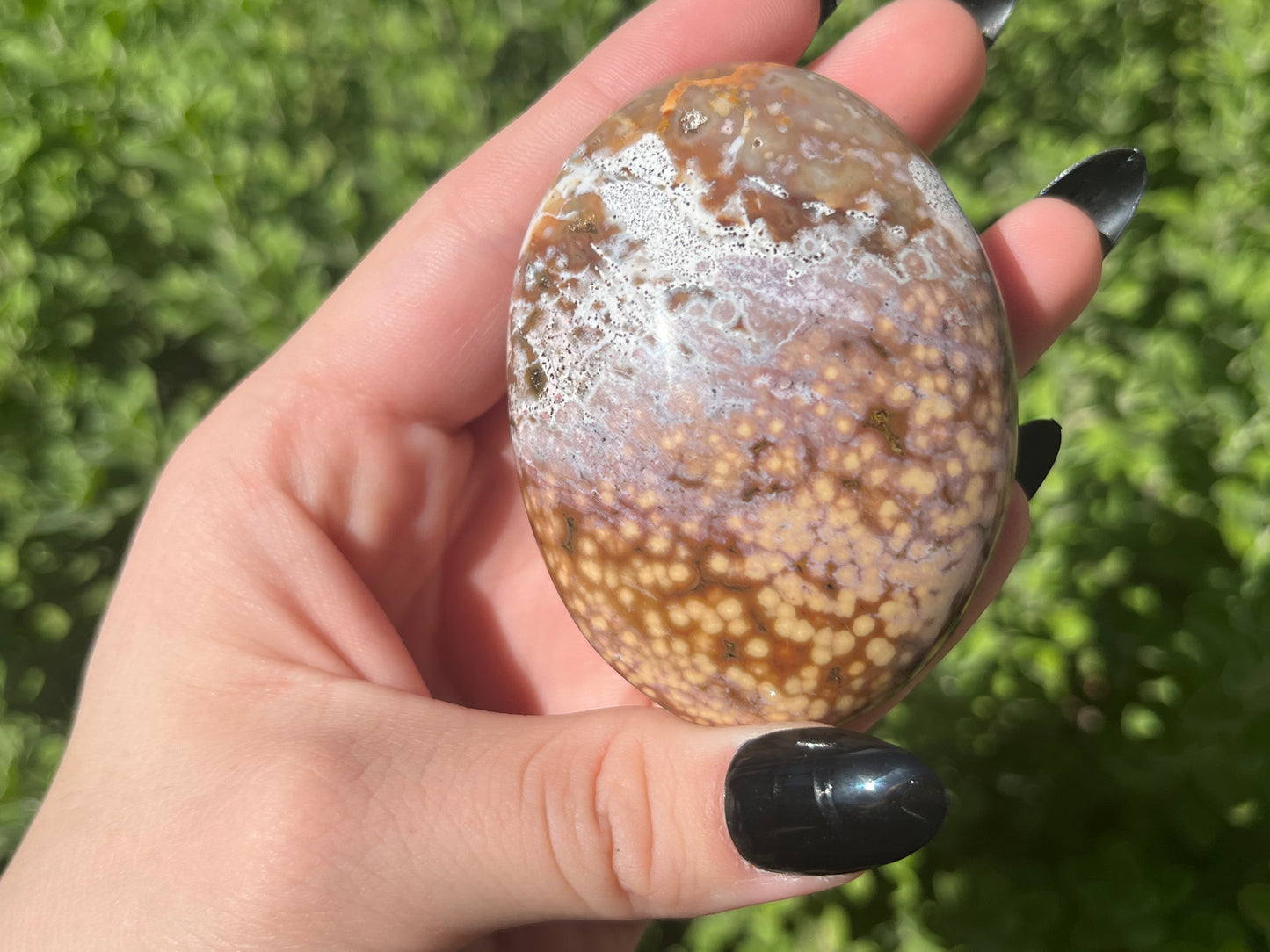 Orbicular Ocean Jasper Palm Stones