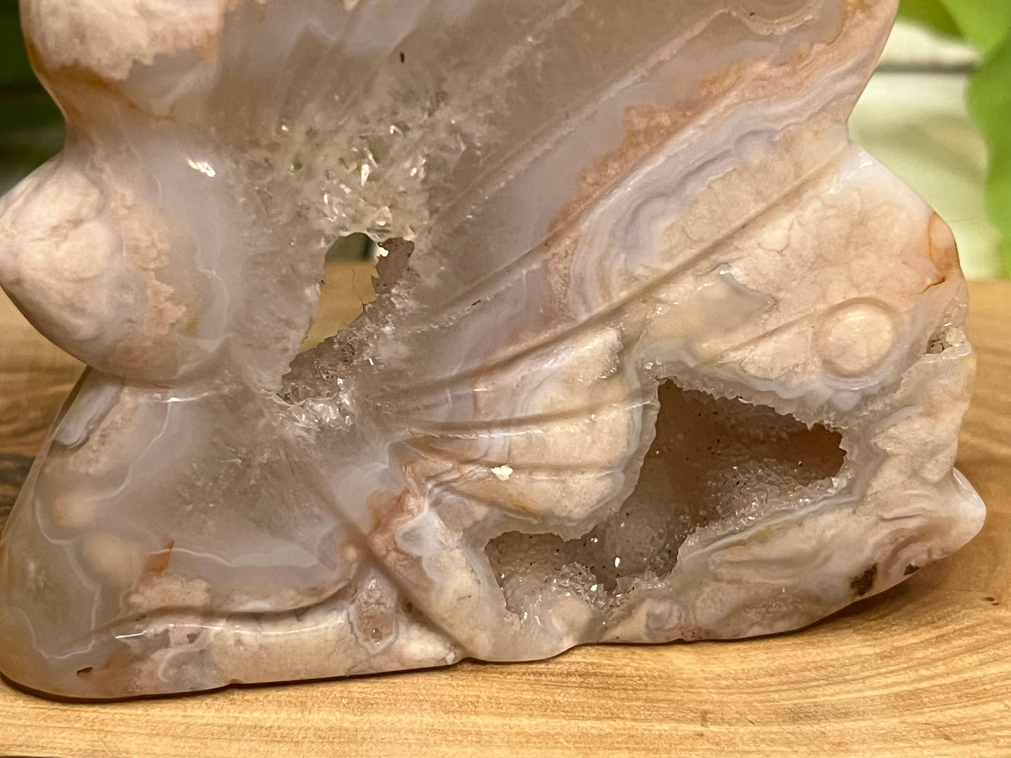 Druzy Flower Agate Fairy Wing Carving