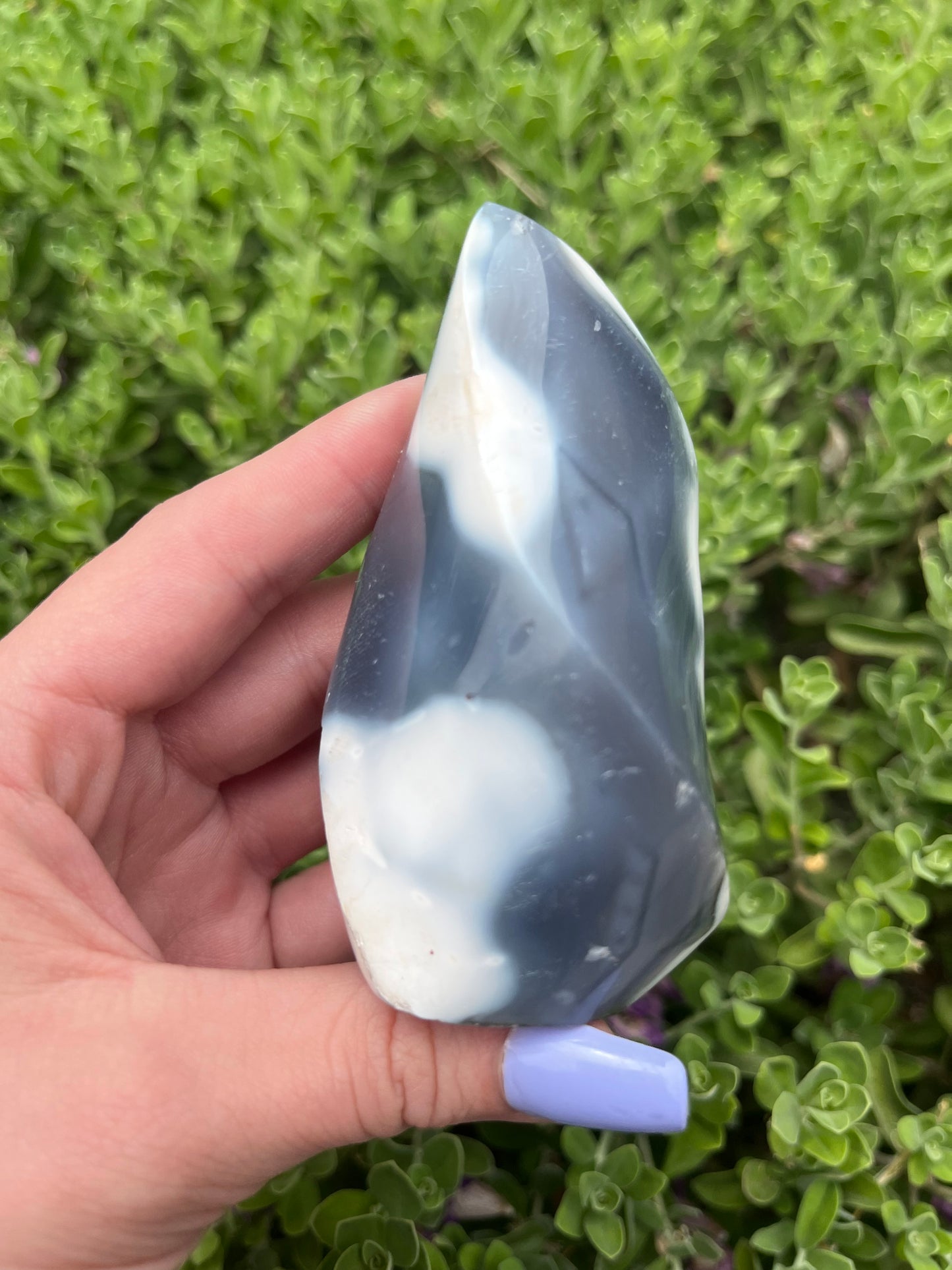 Orca Agate Flame Carvings