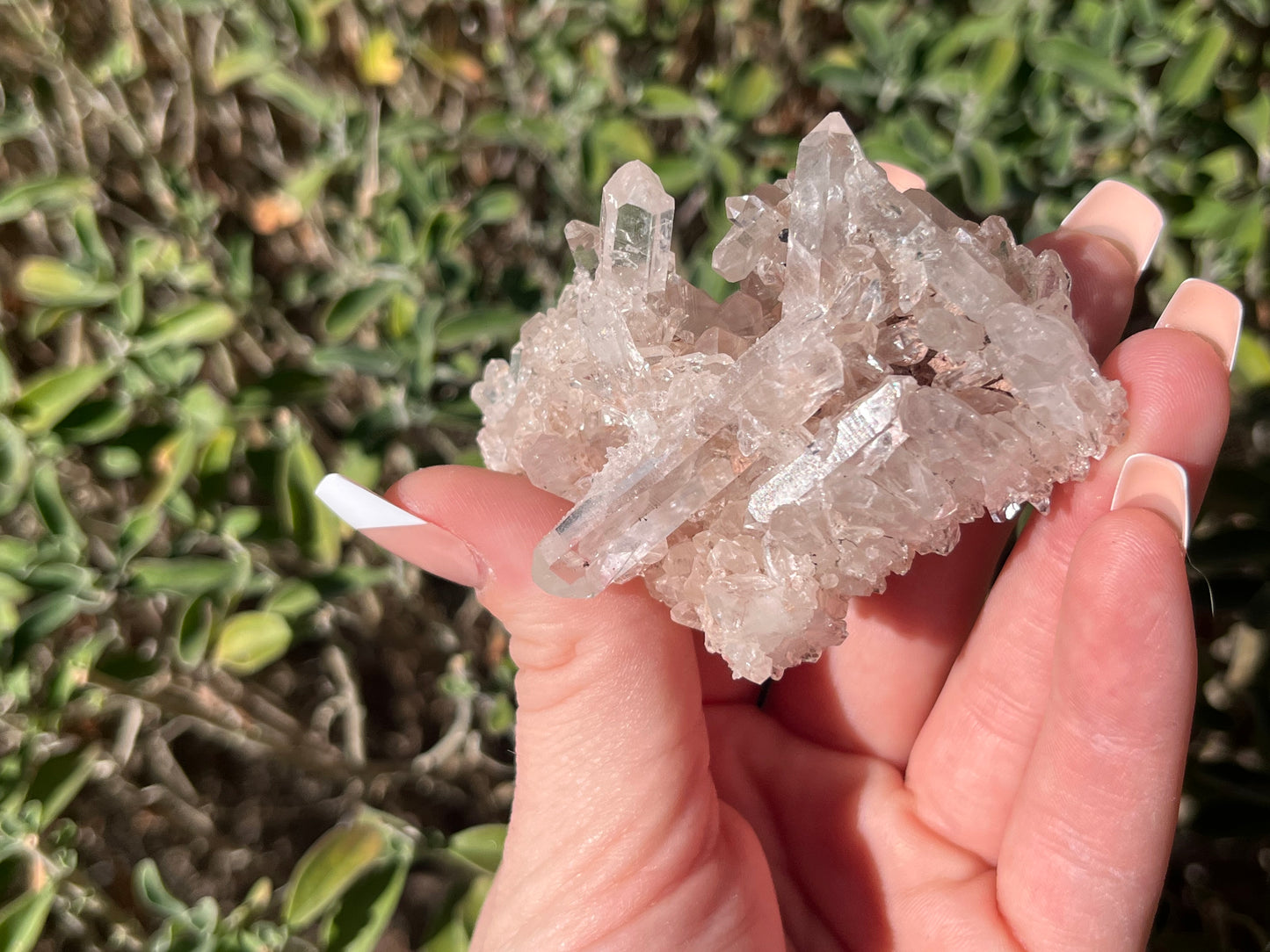 Sacred Pink Lemurian Quartz