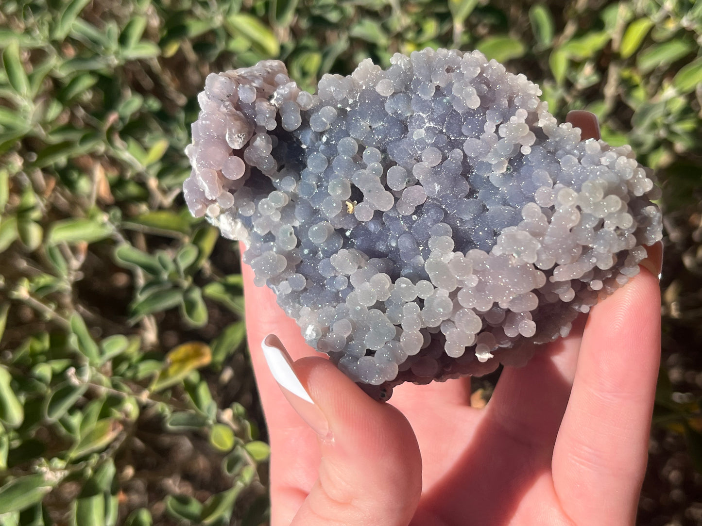 Grape Agate Specimens
