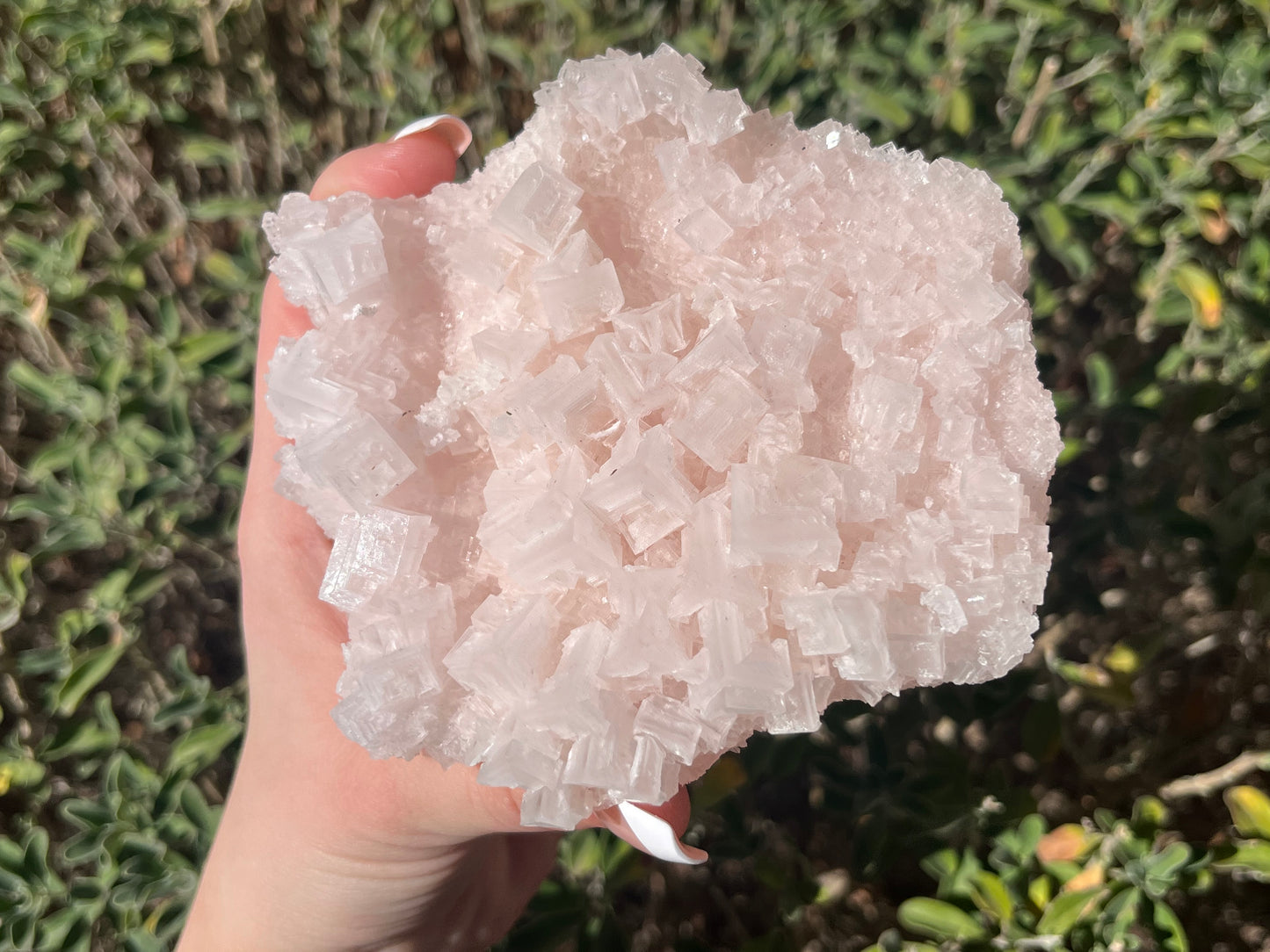California Pink Halite