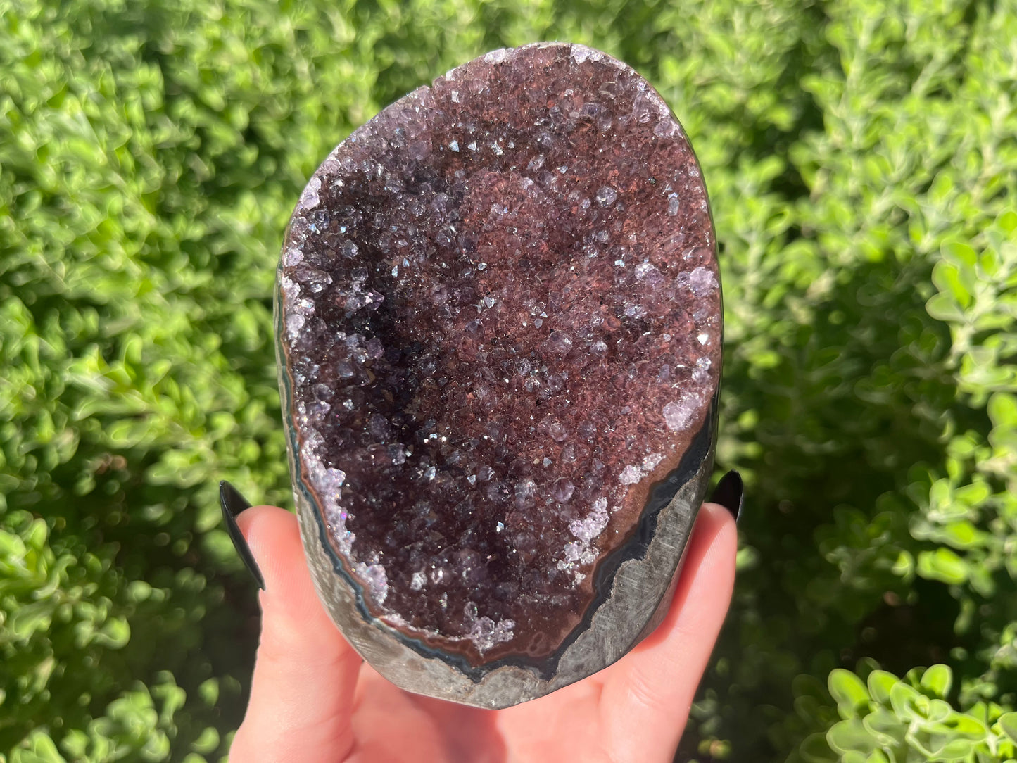 Amethyst Cut Bases from Brazil