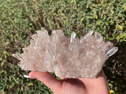 Sacred Pink Lemurian Quartz