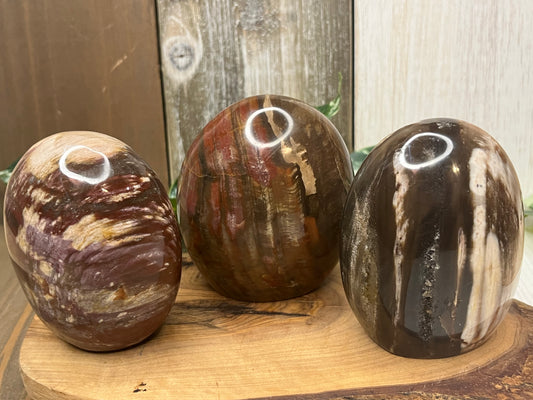 Petrified Wood Free Forms