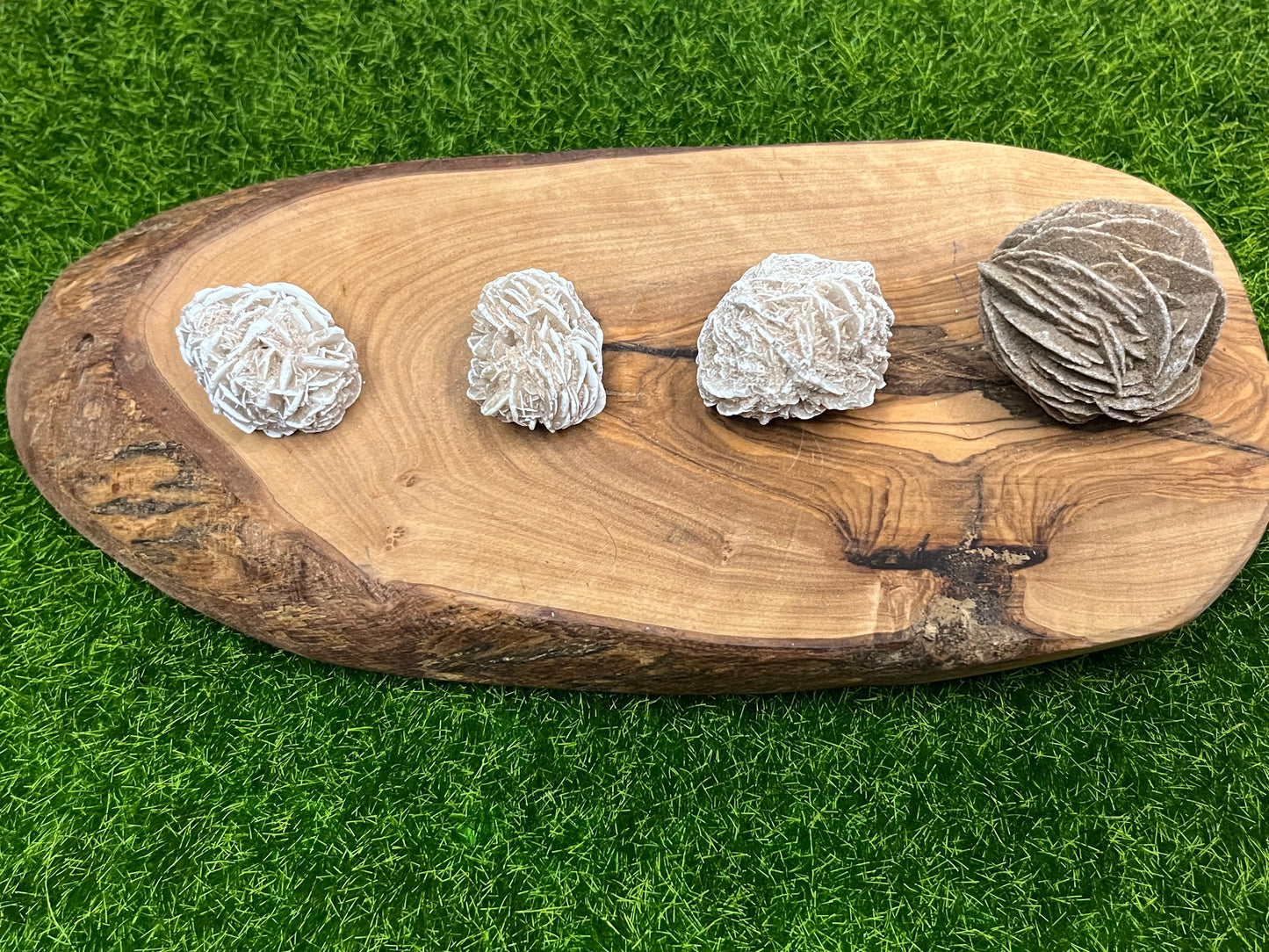 Desert Rose Specimens