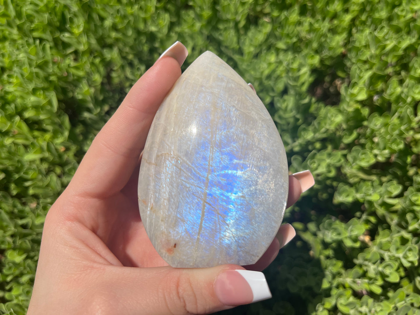 Flashy Moonstone Teardrop Freeform